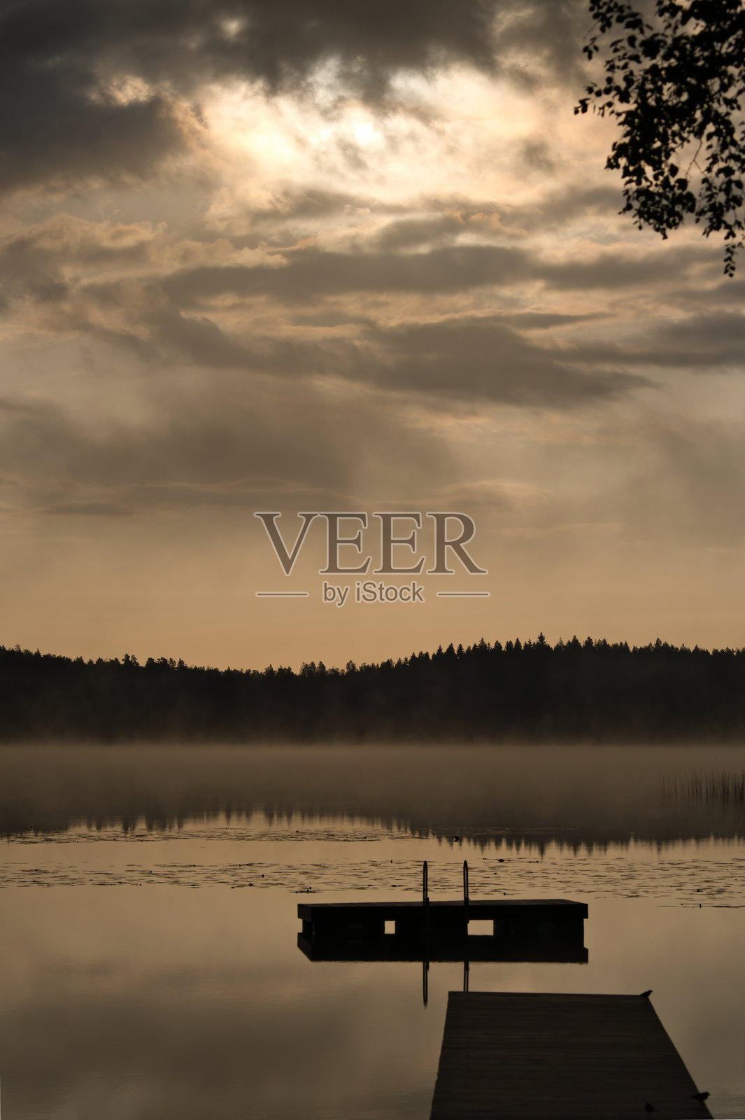 清晨雾中的木栈道,位于瑞典湖泊上。背景是一座漂浮的岛屿。照片摄影图片