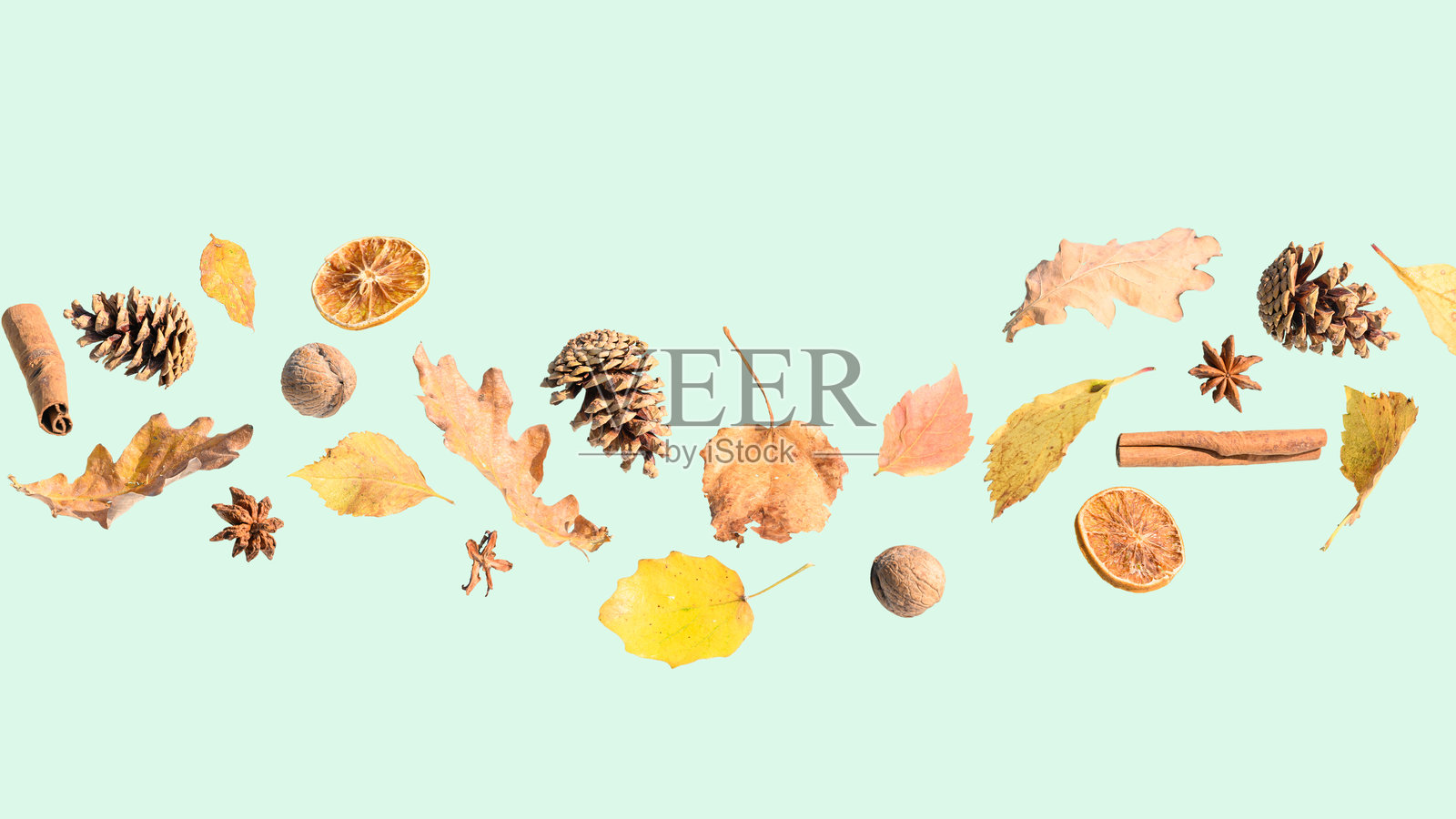 绿色背景上的秋季装饰照片摄影图片