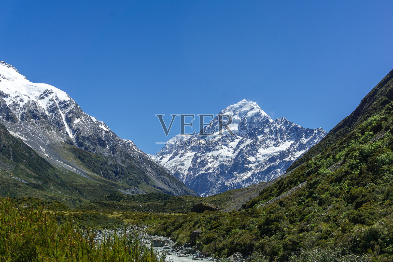 普卡基湖和蒂卡波湖的壮丽景色,有鲜艳的羽扇豆田,胡克谷步道和库克山照片摄影图片