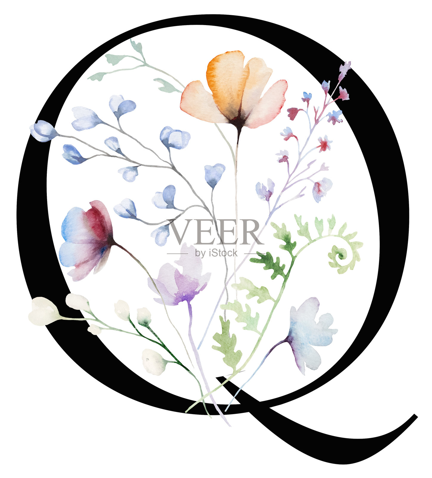 黑色字母Q与水彩柔和的野花和叶子,婚礼独立插图插画图片素材