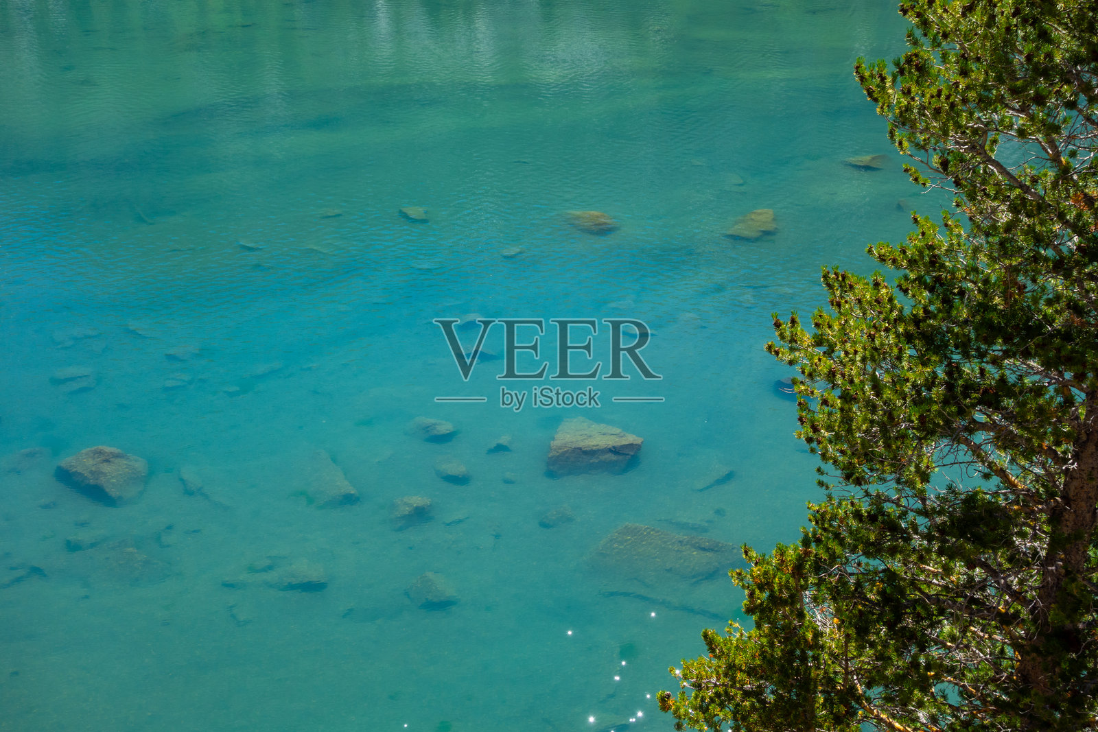 大松湖景观照片摄影图片