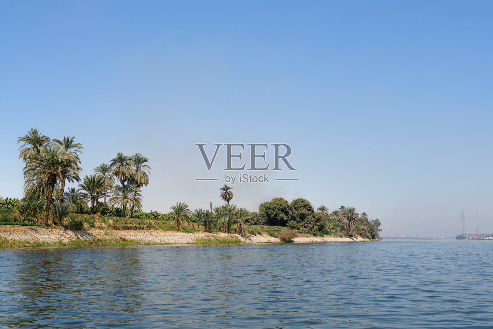 埃及尼罗河河岸的棕榈树风光照片摄影图片