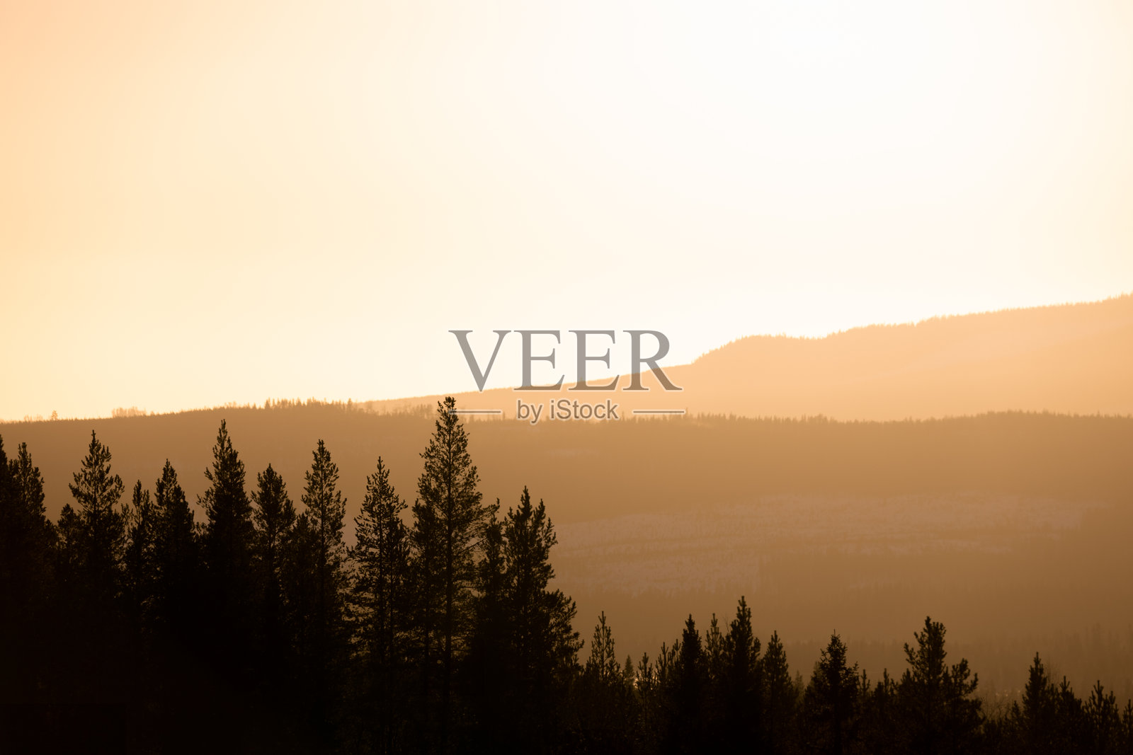 柔和的背光洒在林木覆盖的山坡上照片摄影图片