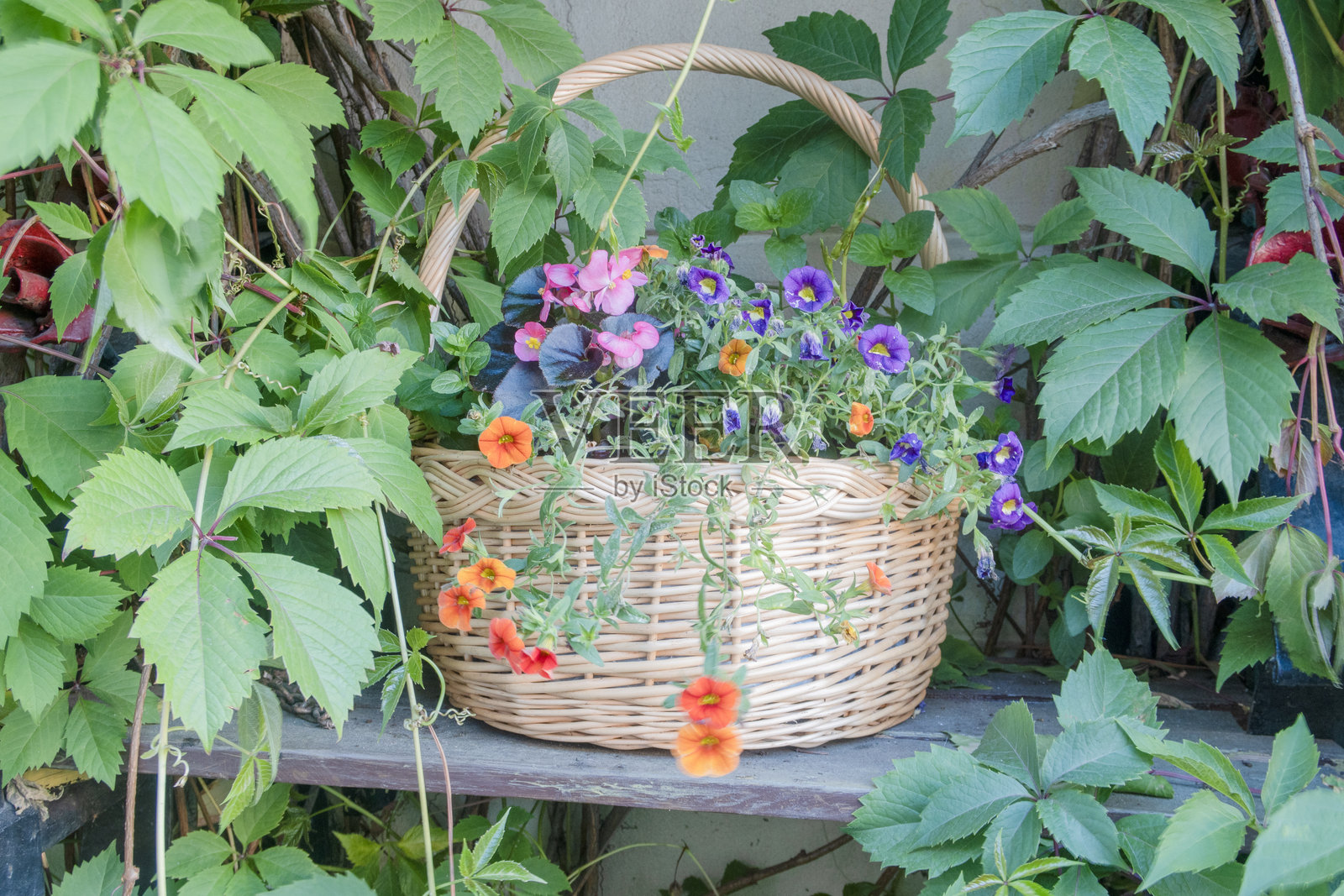 长椅上的花卉藤编篮子照片摄影图片
