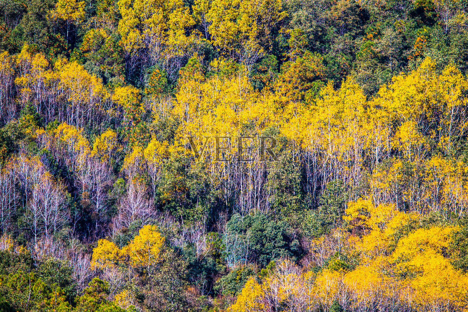 旅行-户外自然风光照片摄影图片