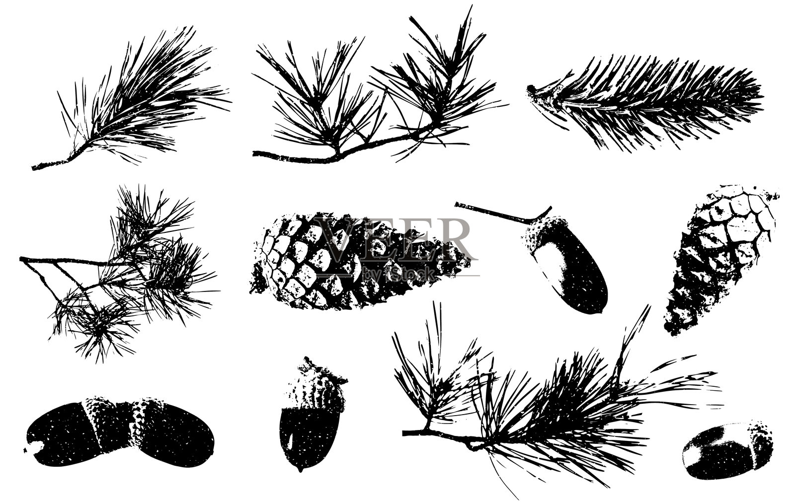 黑白色的圣诞树枝、松果和橡果组合插画图片素材