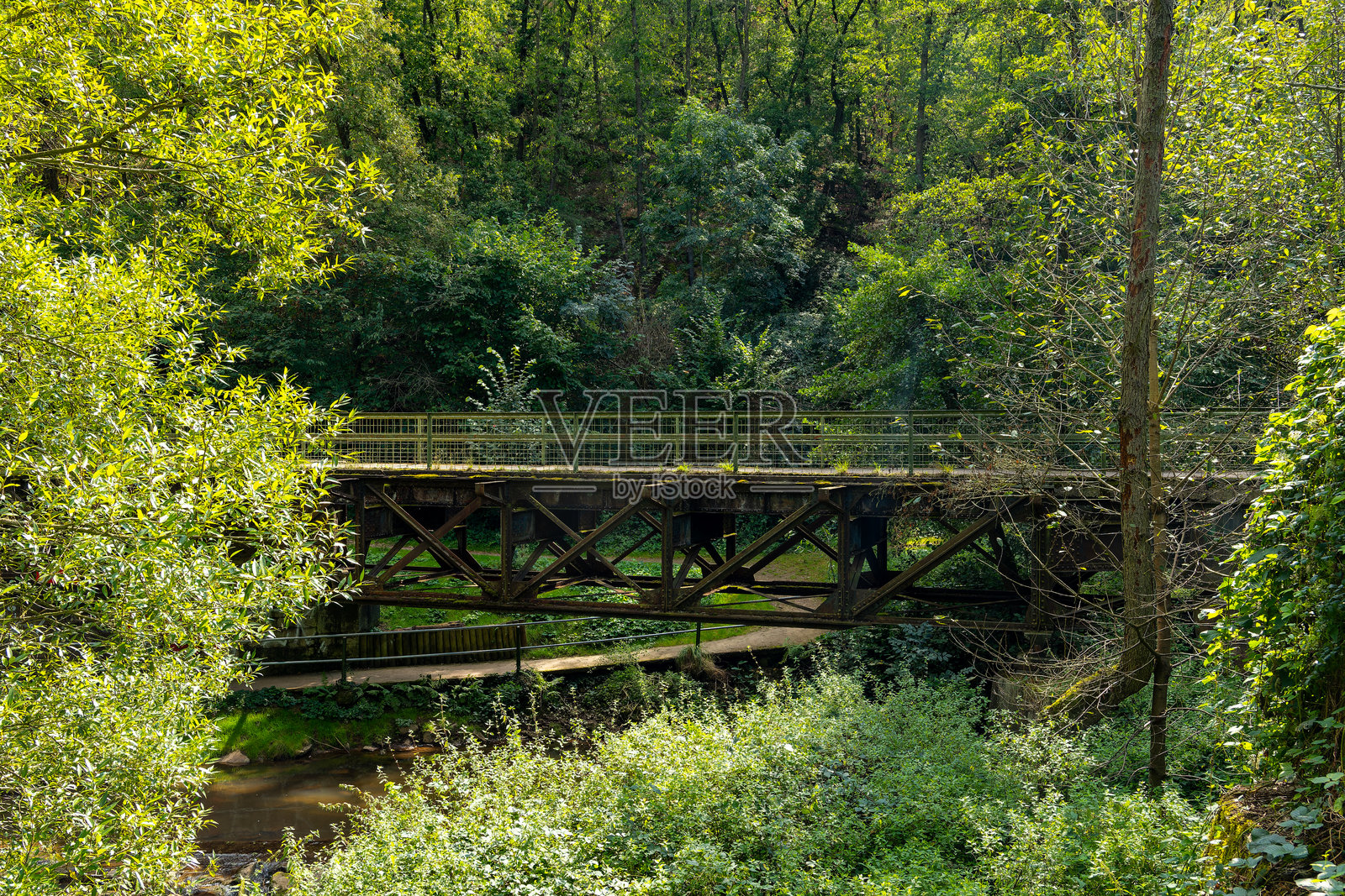 河上有一座桥,桥两侧是树木。照片摄影图片
