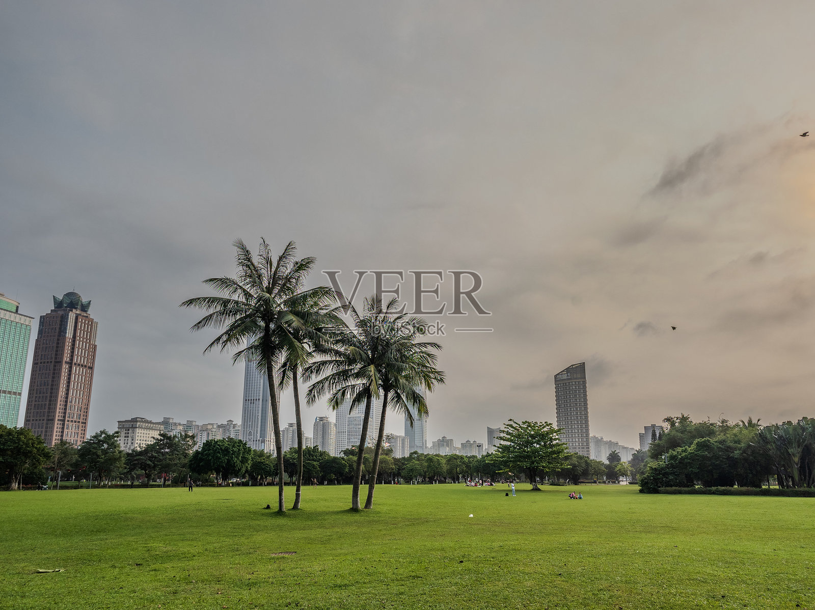 万绿园,海口:城市绿肺,休闲胜地照片摄影图片