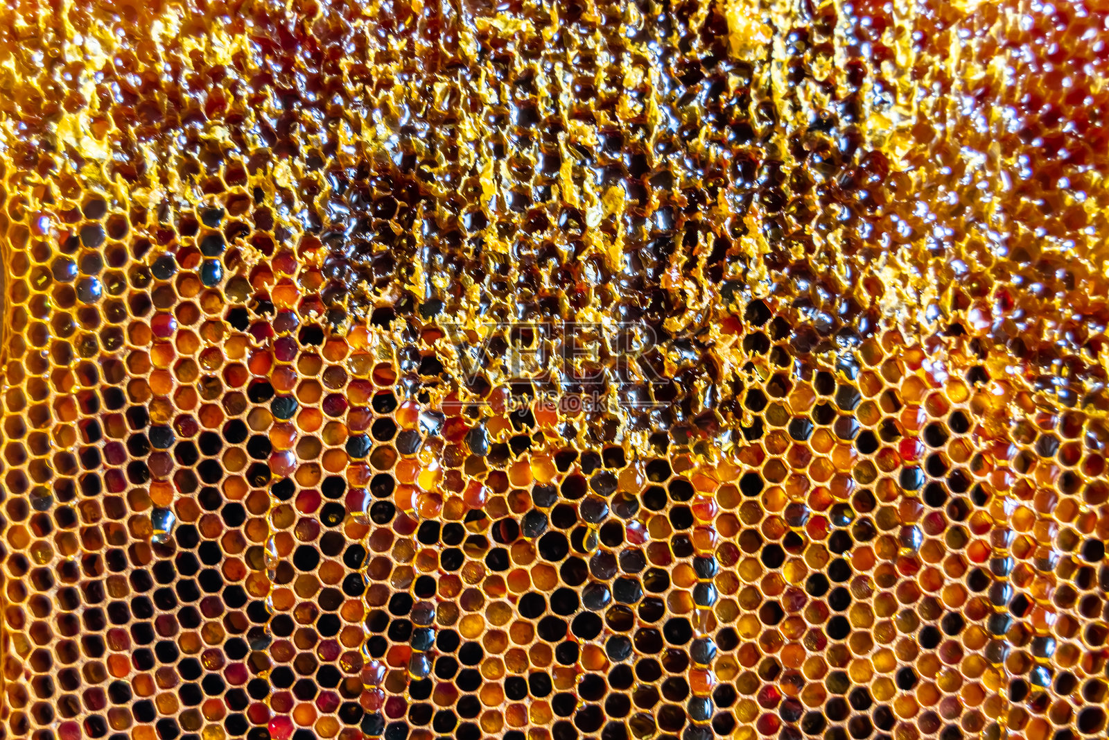 蜂蜜滴从充满金色蜜汁的六角蜂巢中流出照片摄影图片