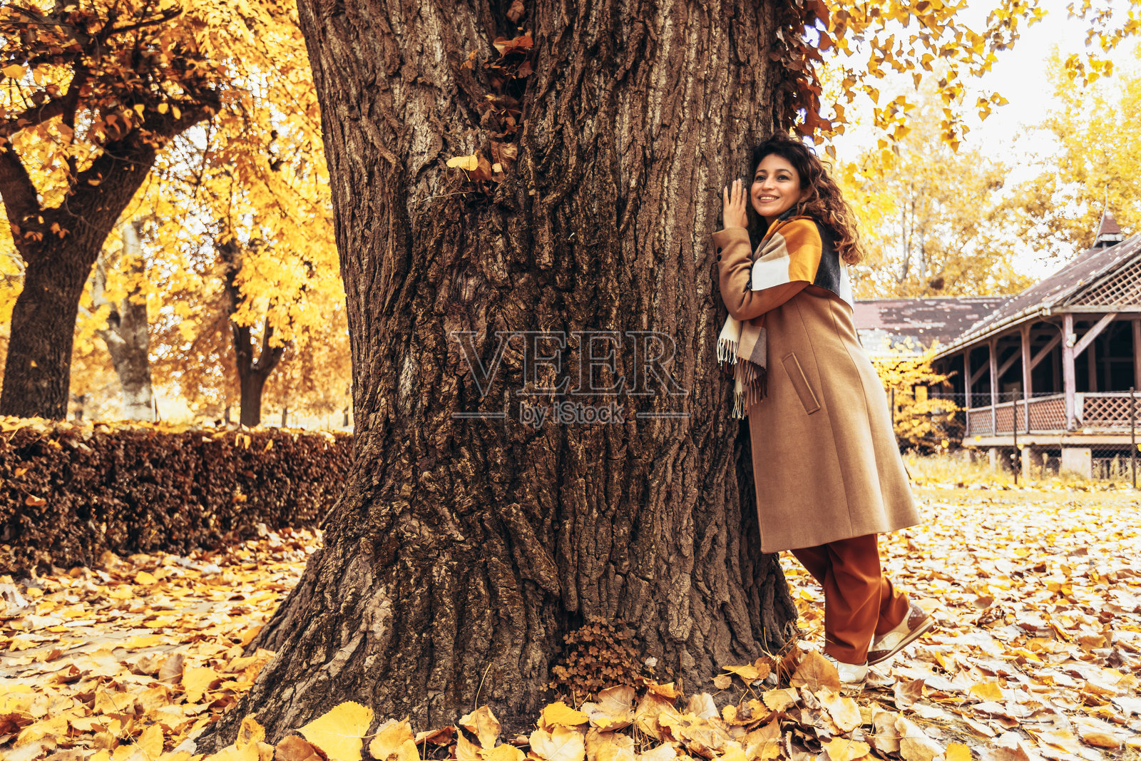 快乐的西班牙裔女性在公园里拥抱一棵树。热爱地球和环境。照片摄影图片