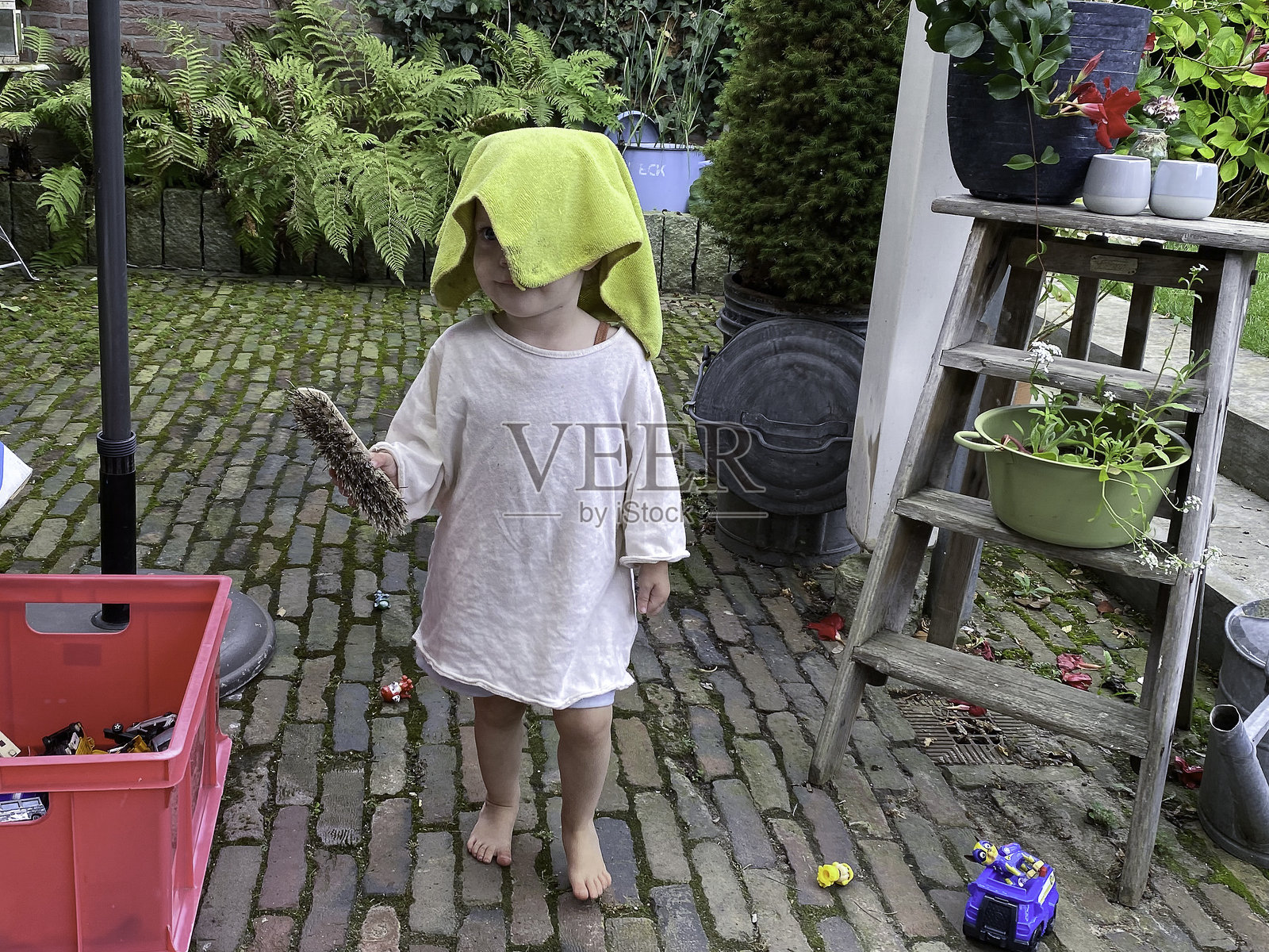 小女孩在玩捉迷藏照片摄影图片