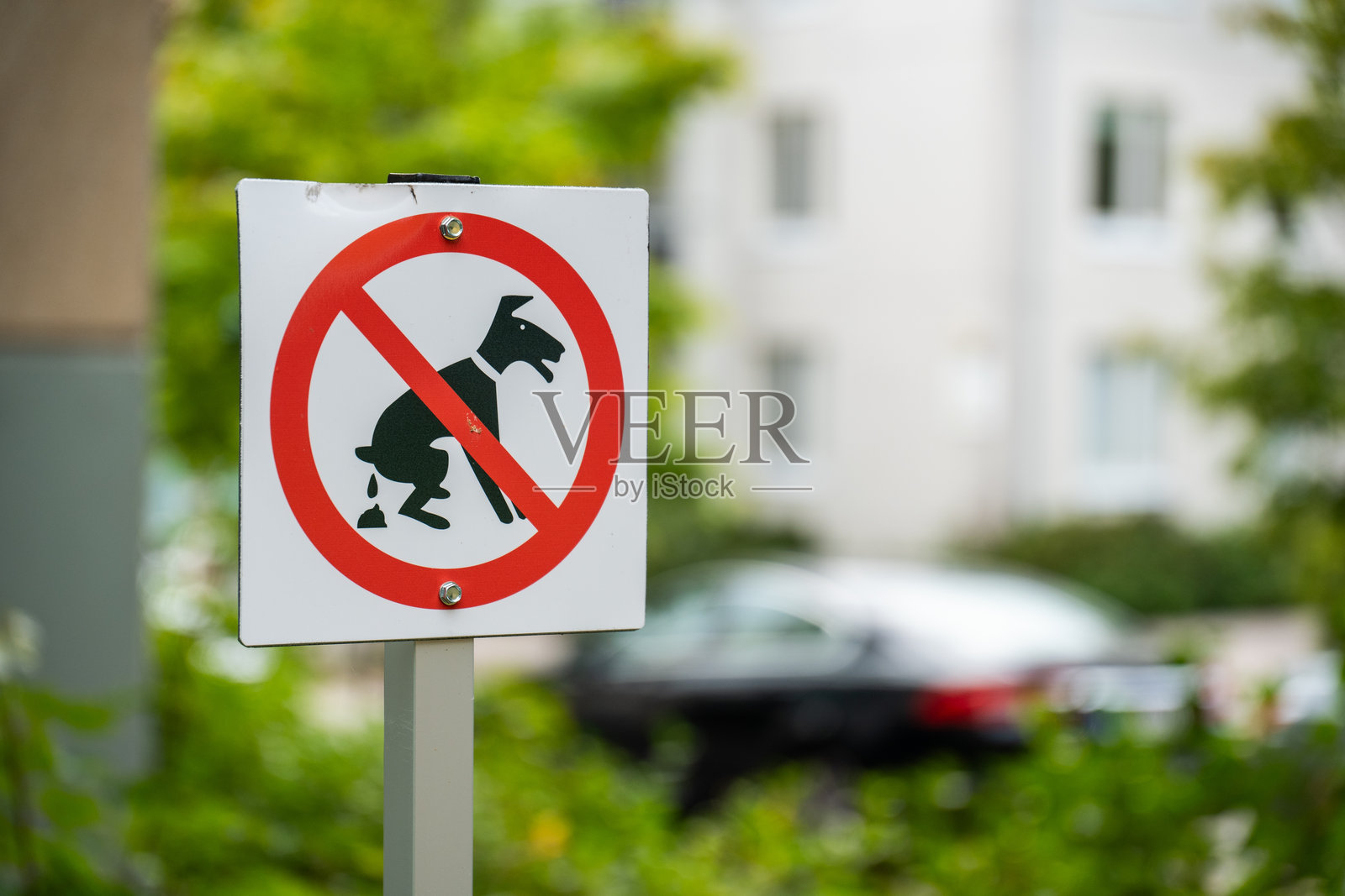 公共公园内禁止狗狗排便的标志照片摄影图片