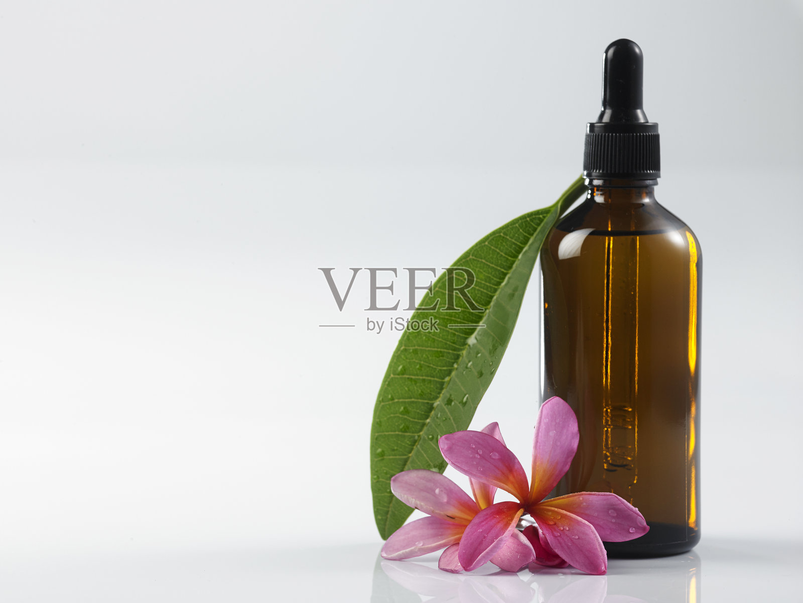 白色背景上的粉色花朵特写照片摄影图片