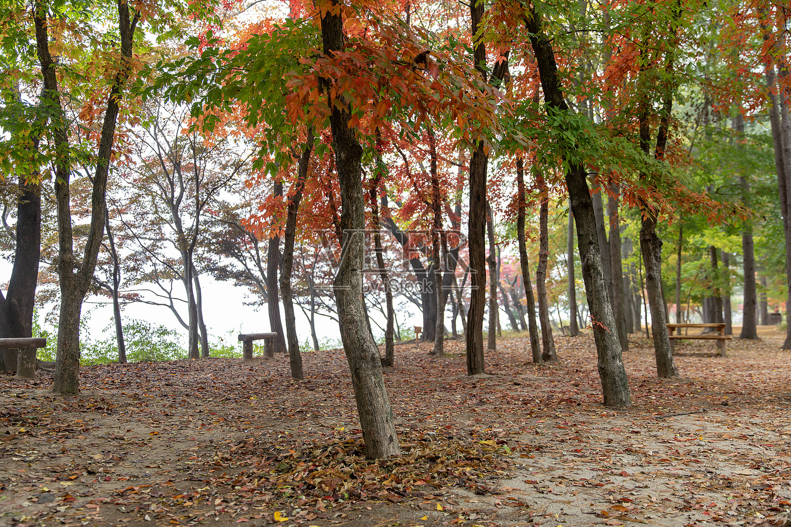 秋天的风景照片摄影图片