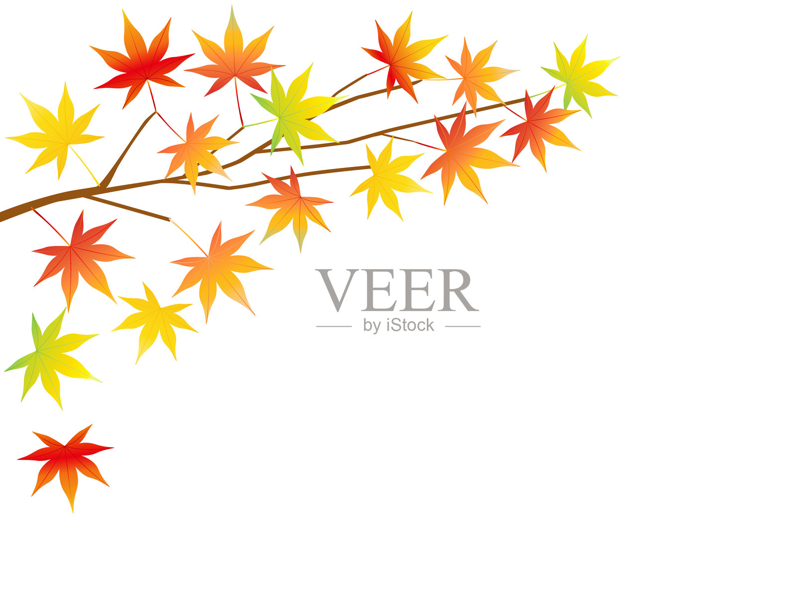 带有五彩斑斓的日本枫叶插图的卡片插画图片素材