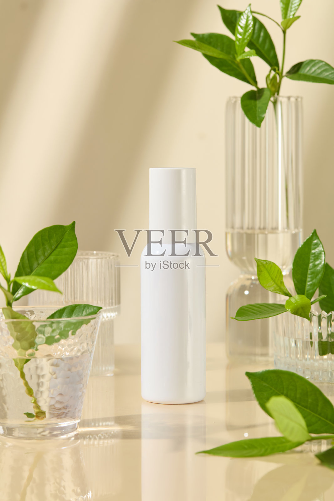 用于促销的化妆品模型,中央放置一个空白标签的白色化妆品瓶,周围环绕着不同类型的玻璃罐,里面装有水和绿色植物。米色背景。照片摄影图片