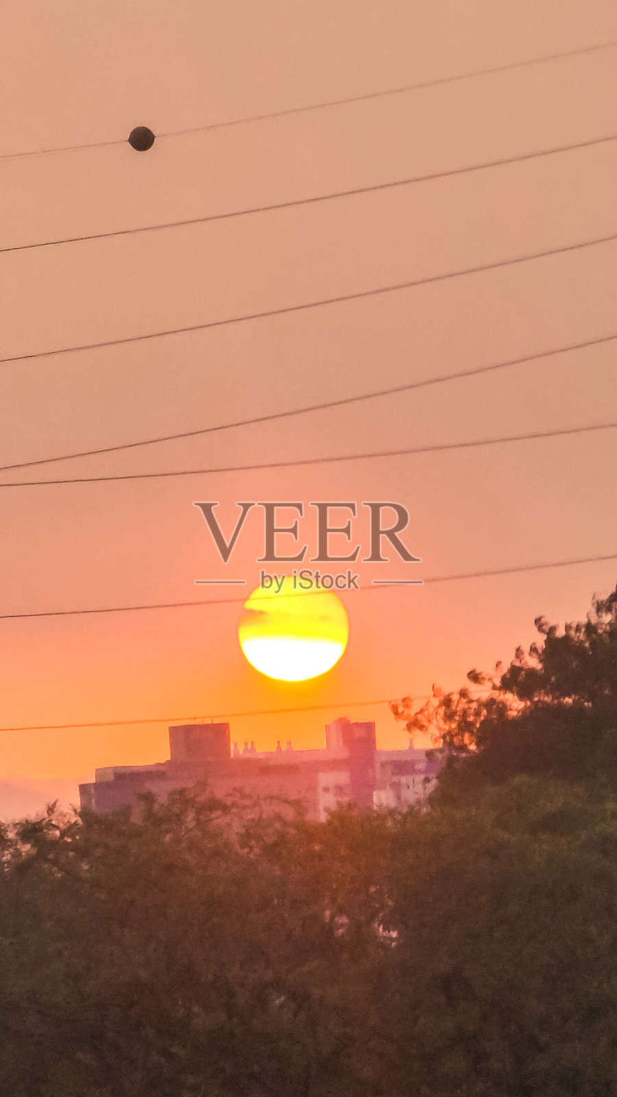 橙色的太阳照片摄影图片