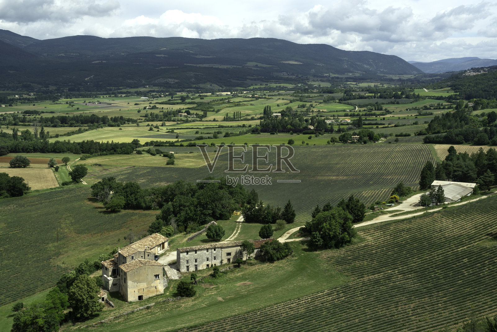 普罗旺斯索尔特的山中薰衣草田照片摄影图片