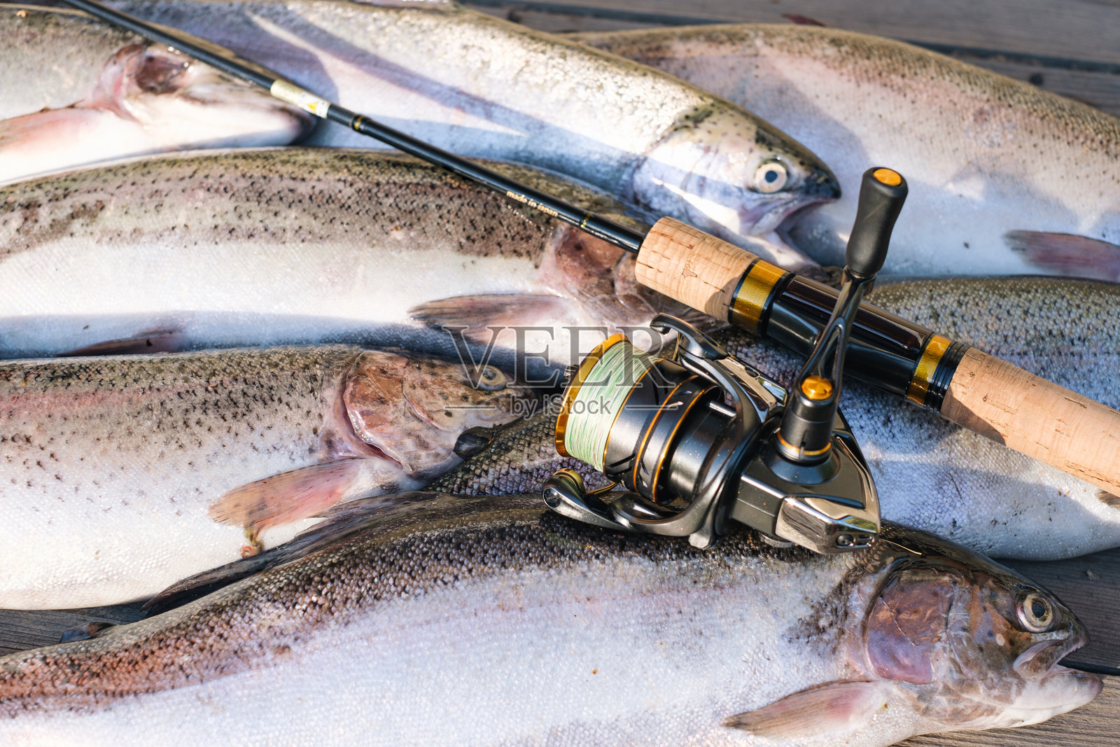 旋转钓竿和捕获的鳟鱼放在木桌上照片摄影图片