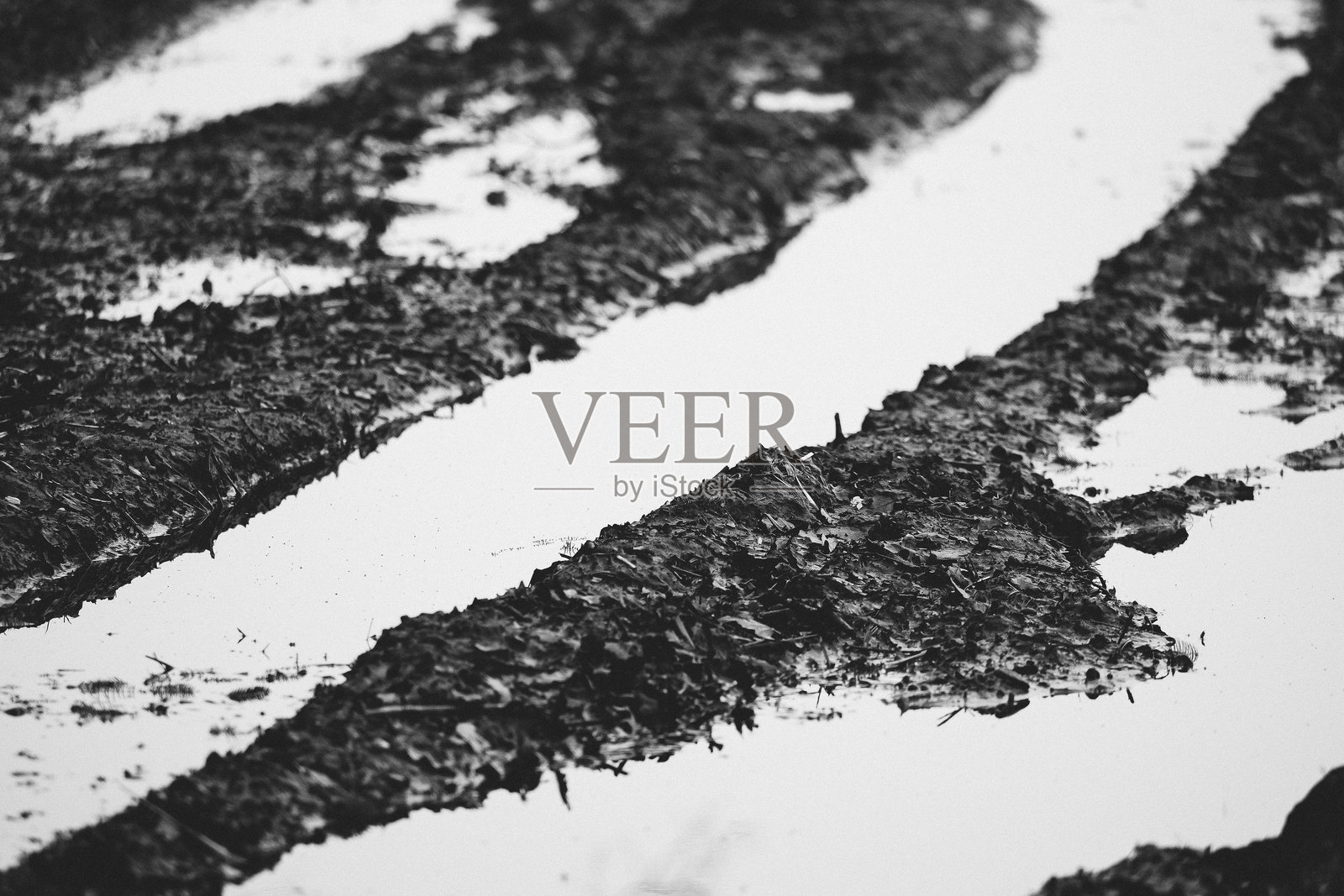 高角度视图的雪地照片摄影图片