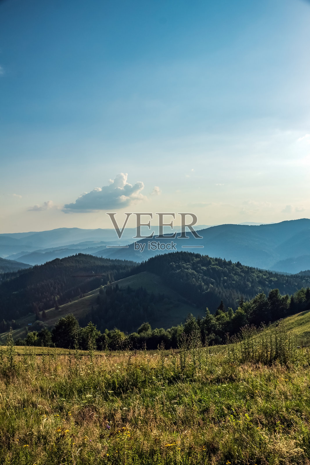 风景 - 森林 - 欧洲,罗马尼亚,苏恰瓦地区照片摄影图片