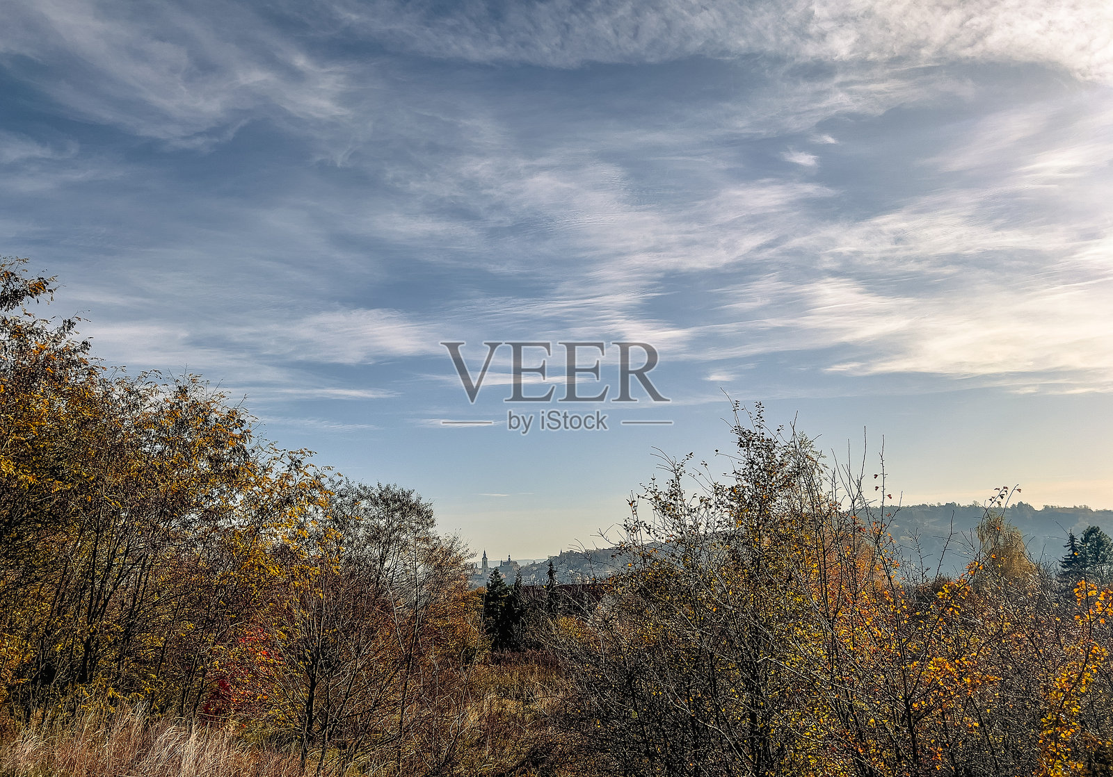 秋天的风景,黄叶树木与蓝天白云相映成趣。照片摄影图片