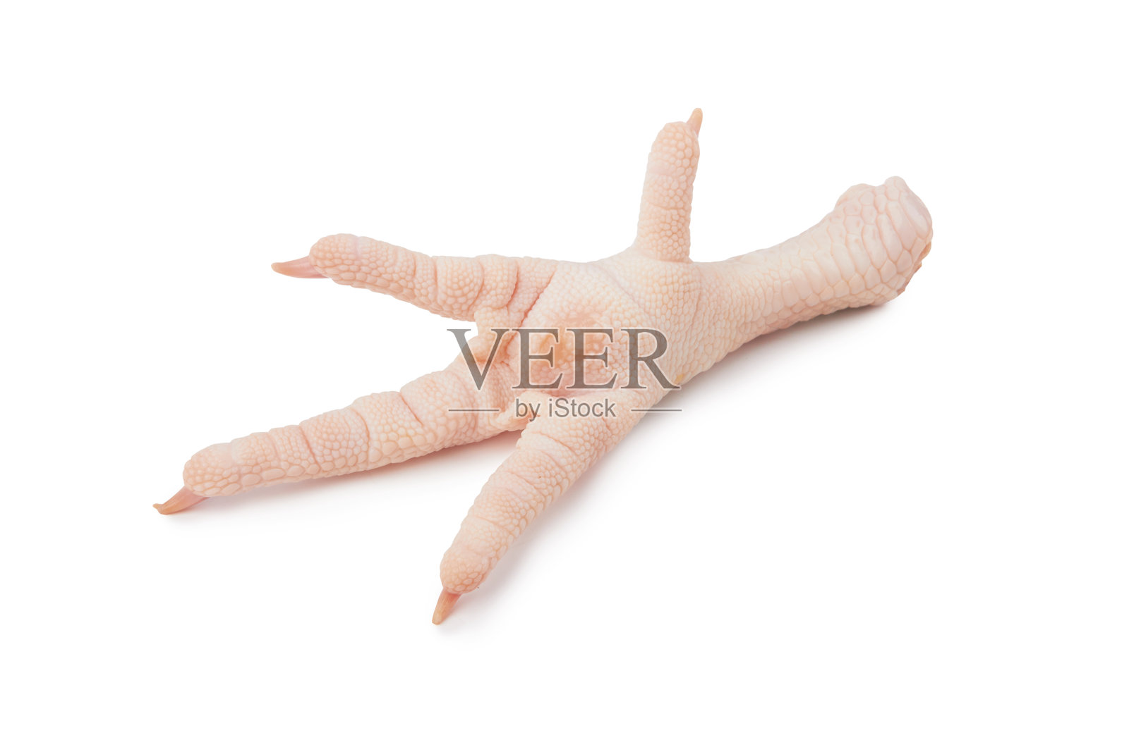 生的鸡爪照片摄影图片