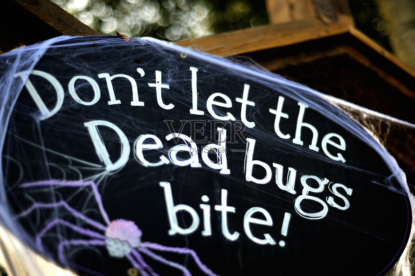 死虫叮咬照片摄影图片