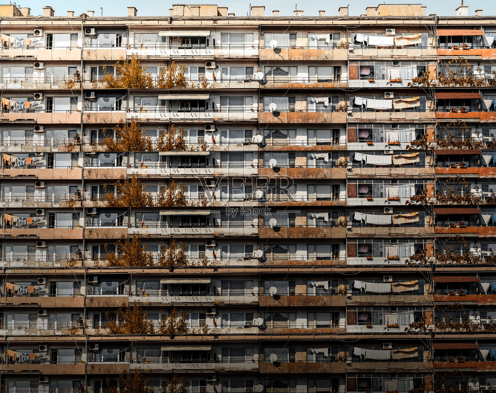 城市中建筑的外观照片摄影图片