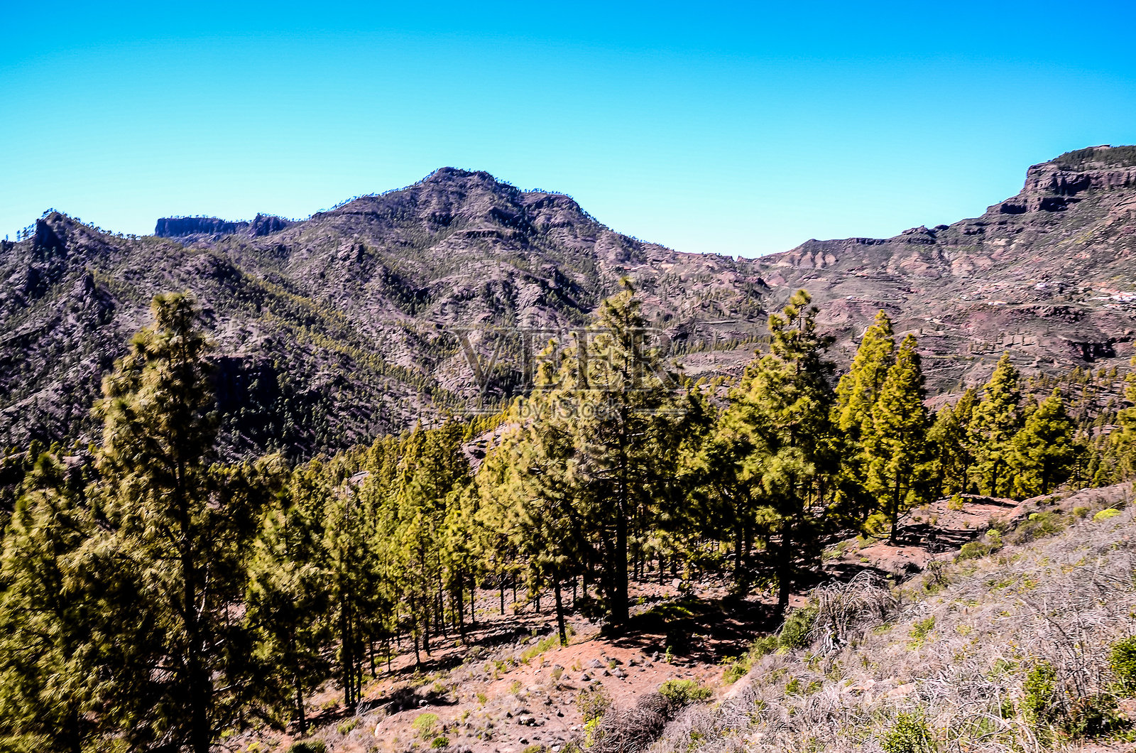 一座有树木和晴朗蓝天的山脉照片摄影图片