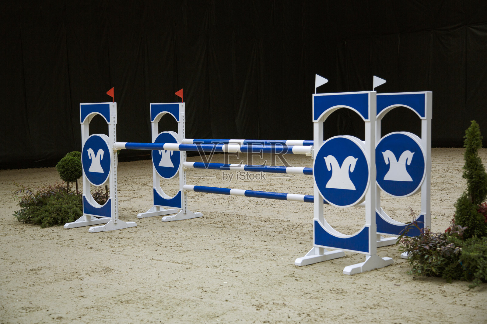 跳跃障碍的马照片摄影图片