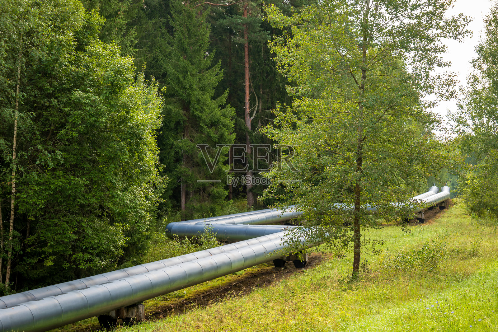 自然环境中的供水管道加热水源照片摄影图片