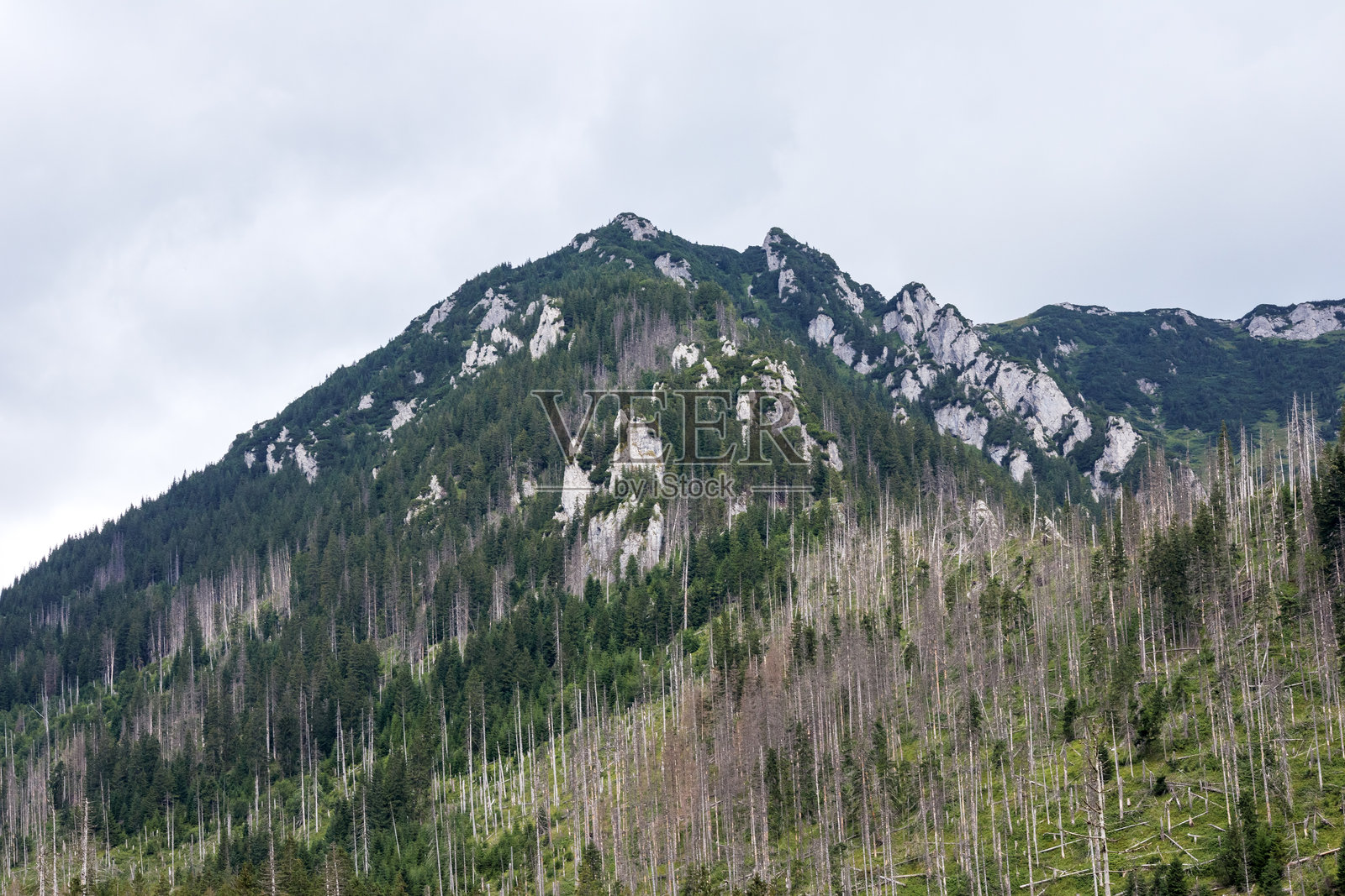 阴天时山顶的景色照片摄影图片