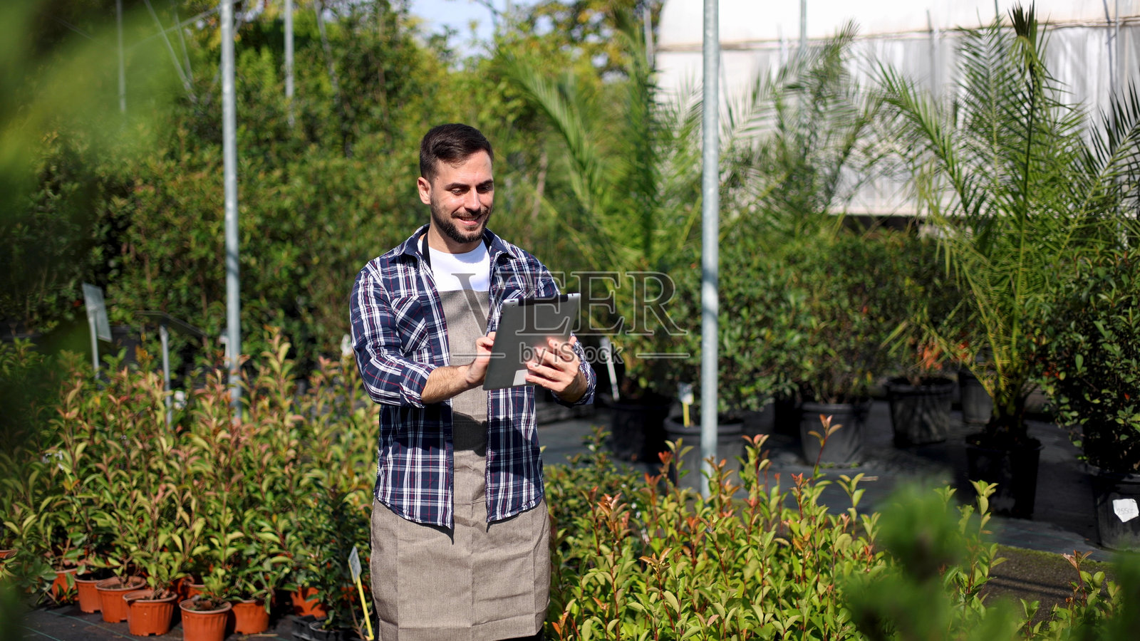 农业工程师使用数字平板电脑在花园中心规划种植照片摄影图片