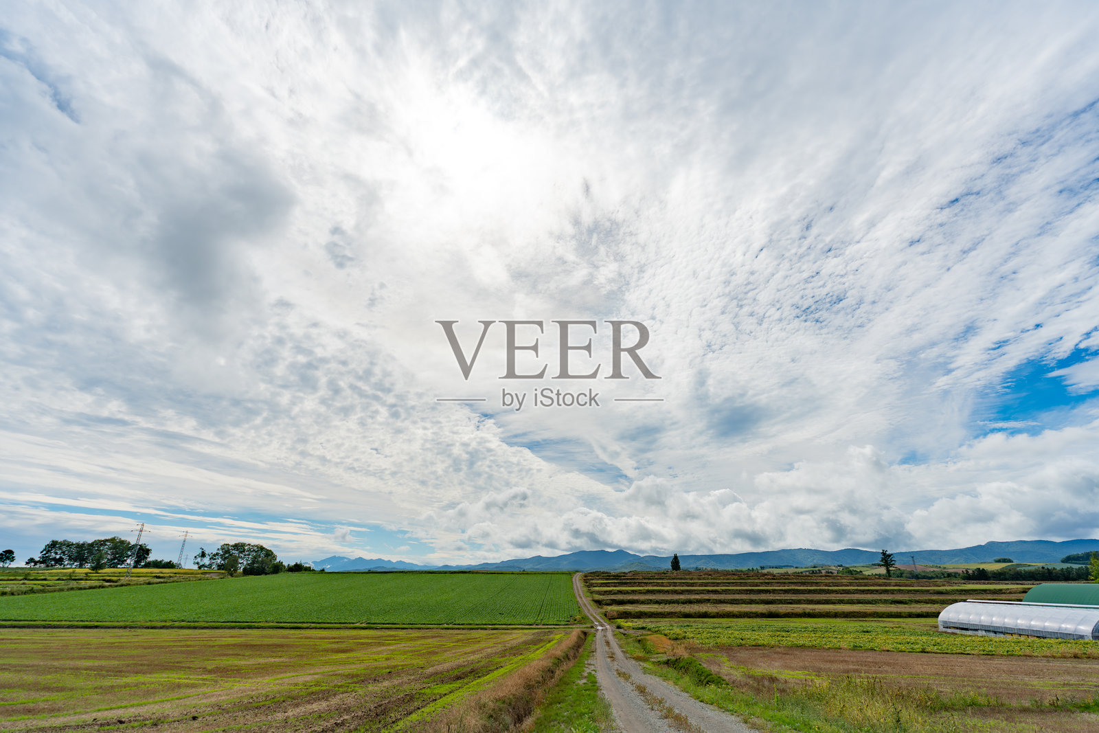 北海道晚夏的宁静田野照片摄影图片