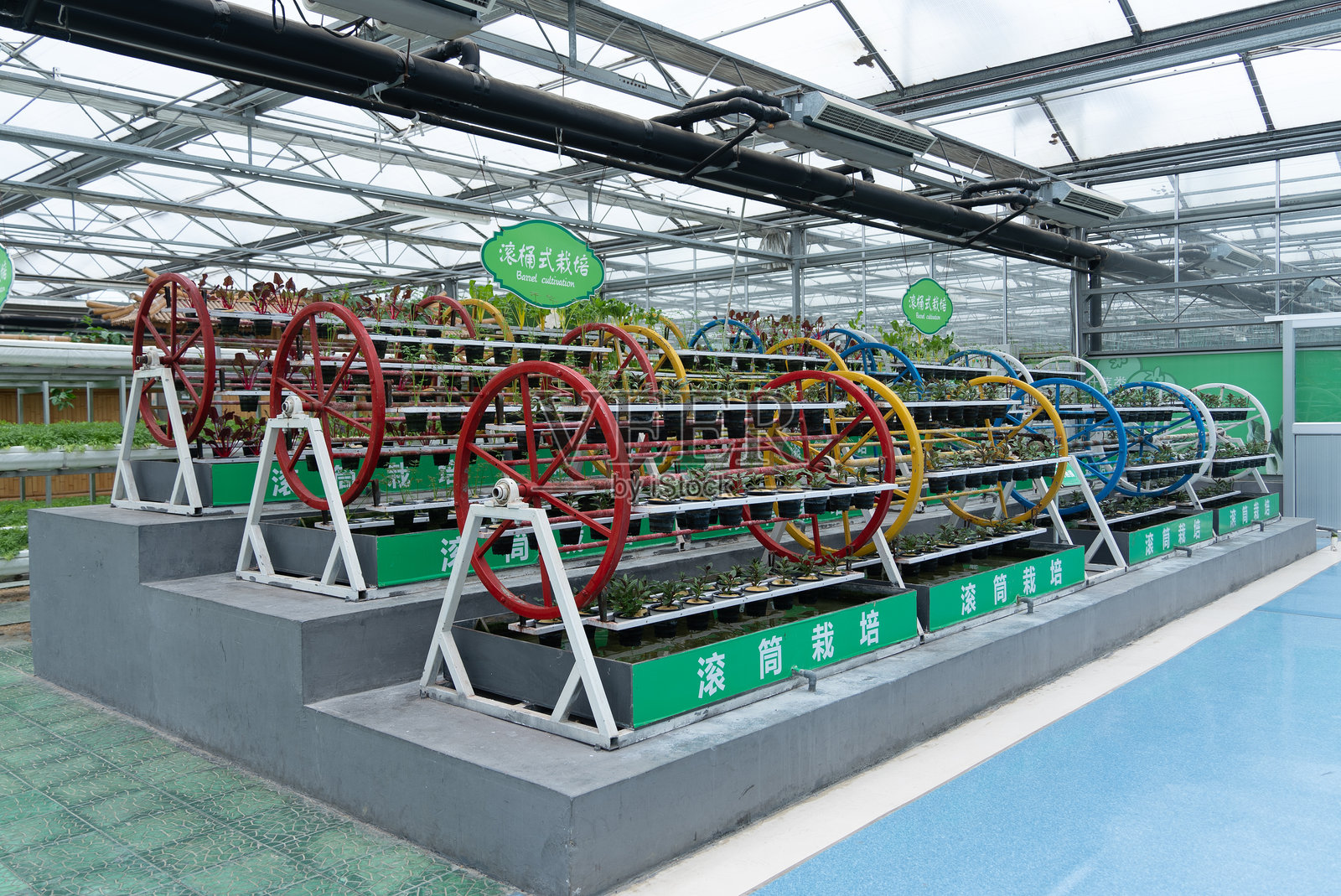 转轮栽培技术照片摄影图片