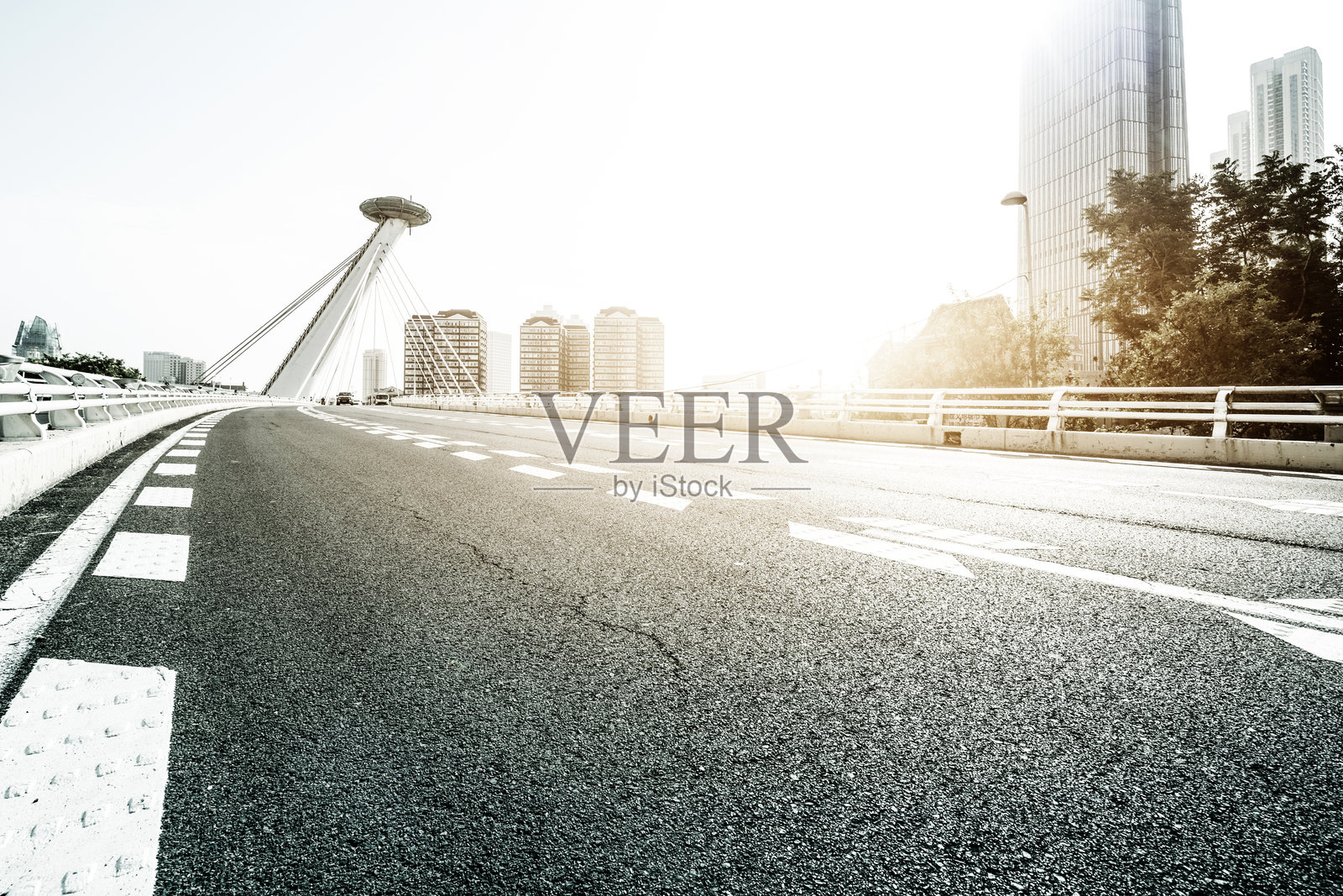 现代城市拉索桥柏油路照片摄影图片