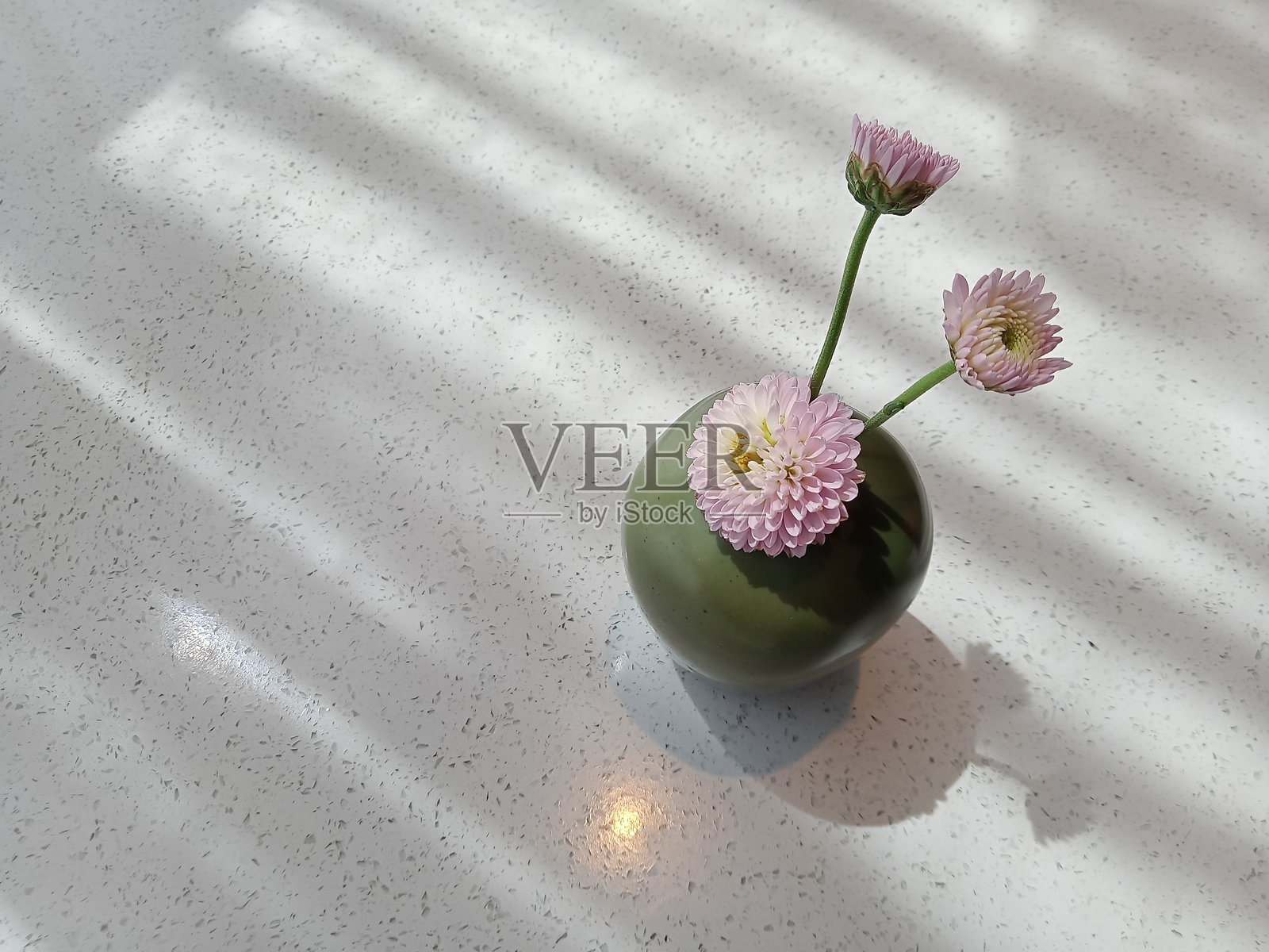 桌子上的菊花照片摄影图片