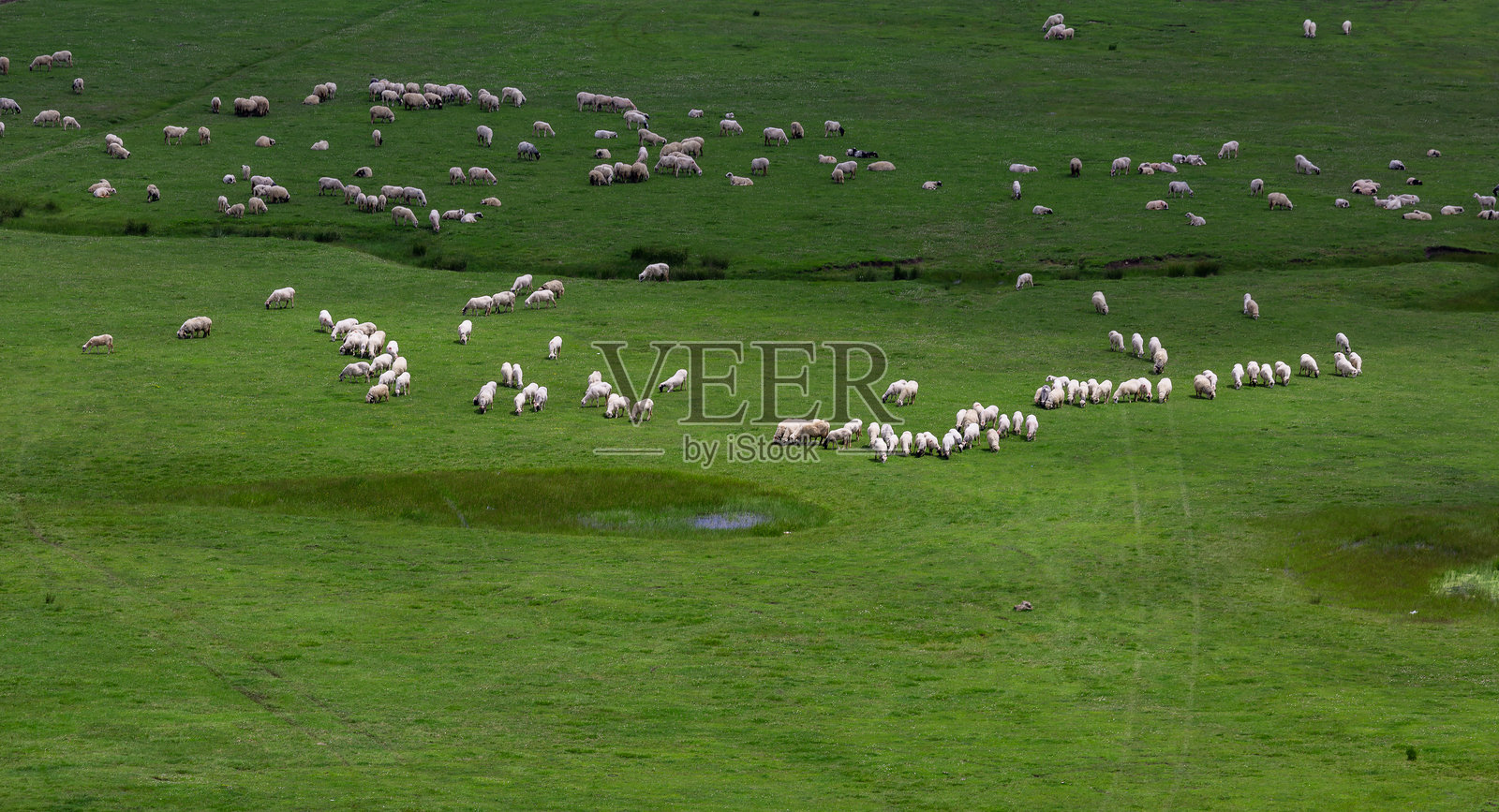 奥尔杜的佩尔森贝高原照片摄影图片