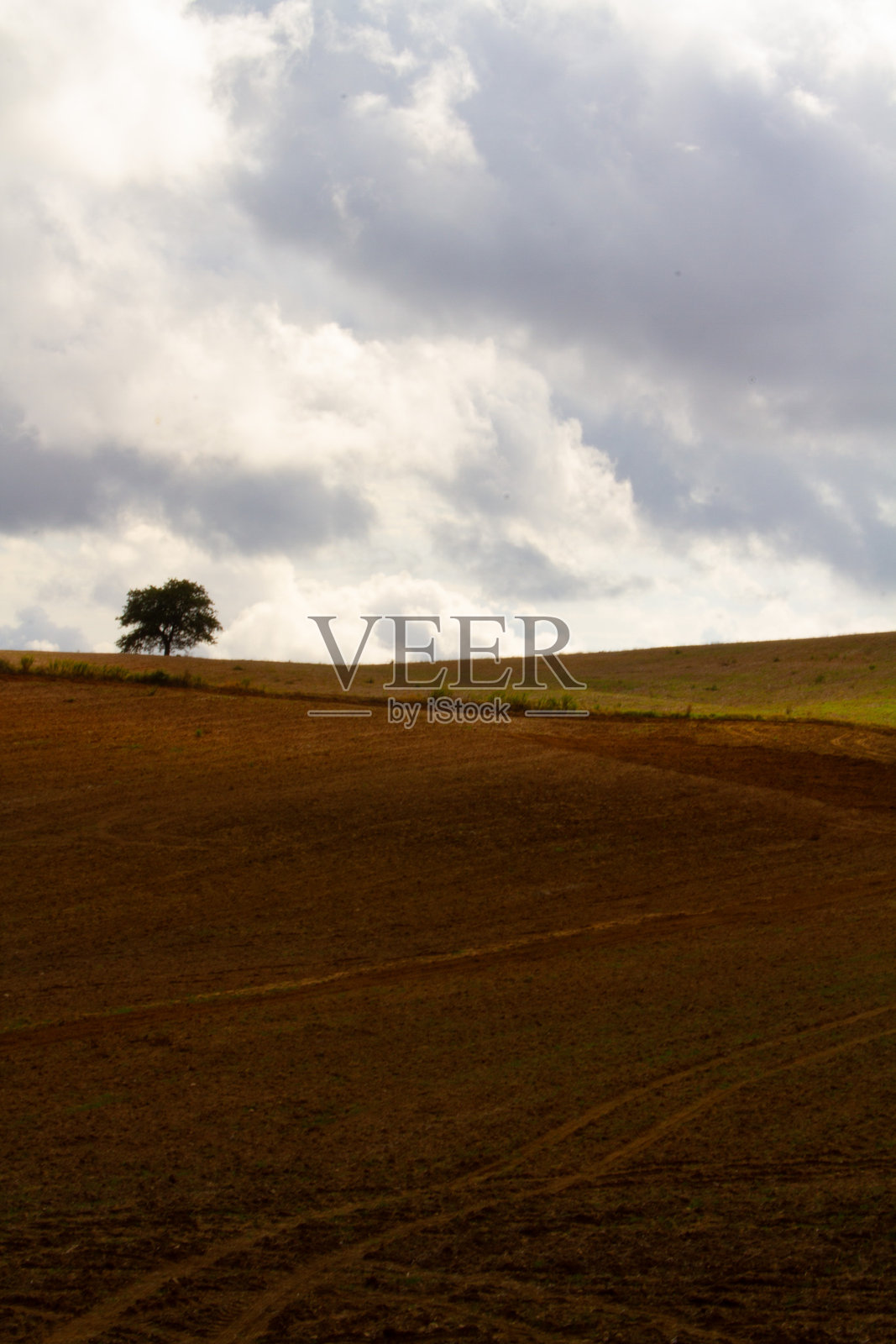 秋天照片摄影图片
