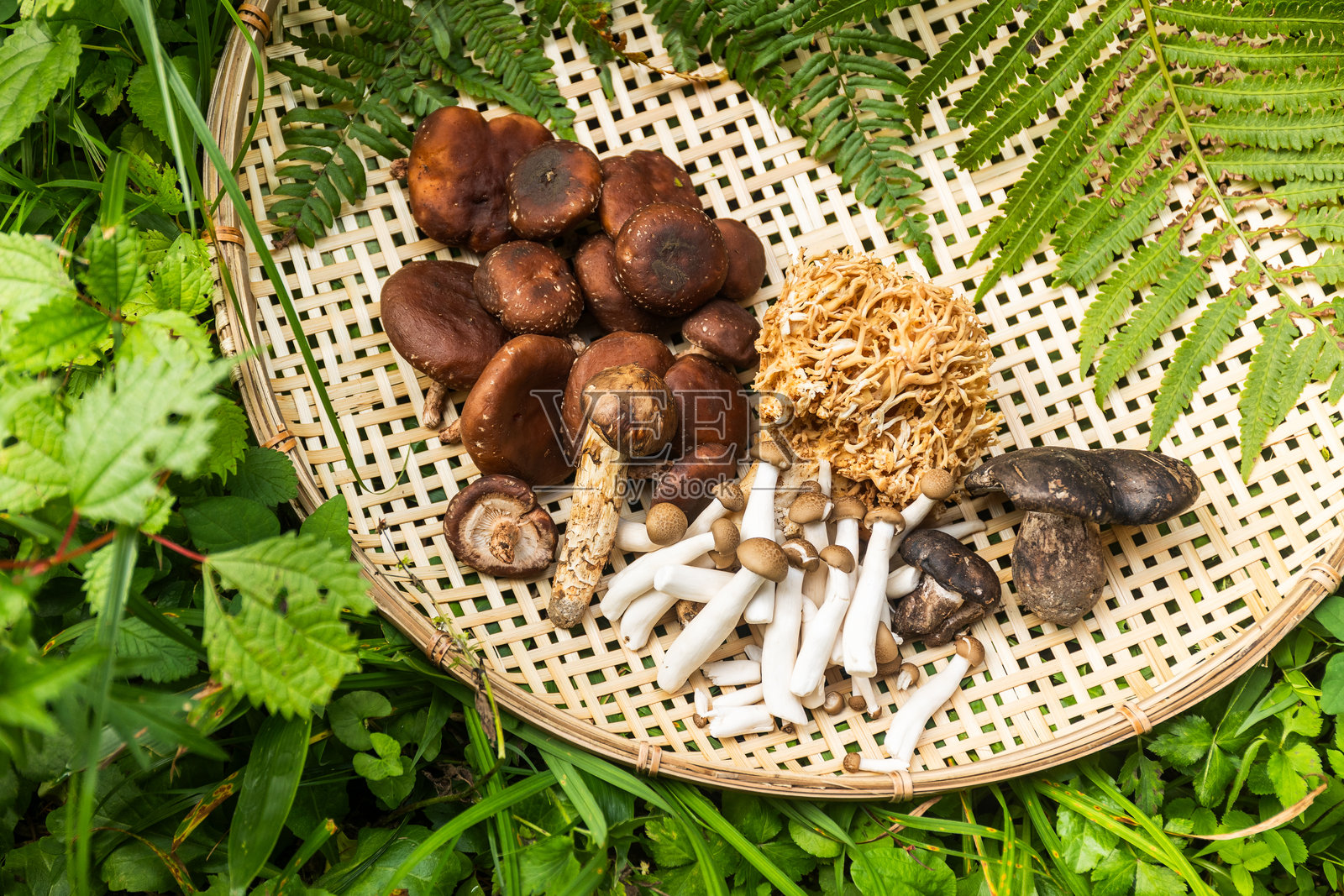 藤编篮子里的各种日本蘑菇照片摄影图片