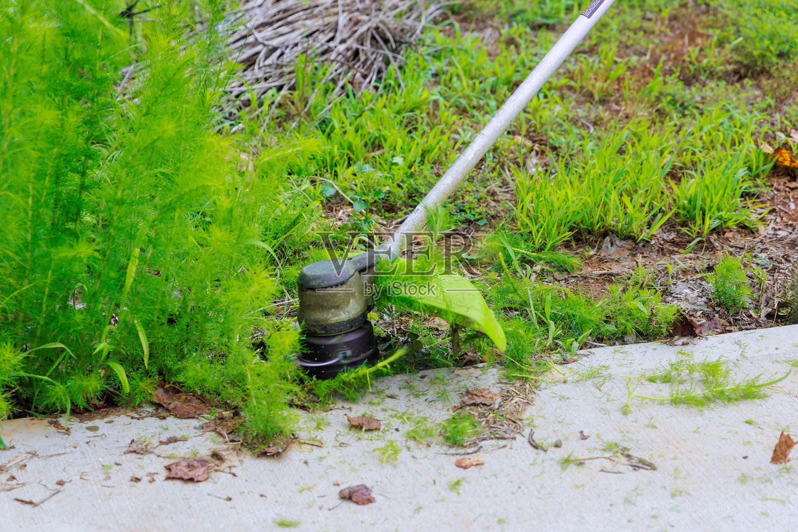 工人在草坪上用手动修剪器修剪绿草,作为草坪护理和杂草控制的一部分。照片摄影图片