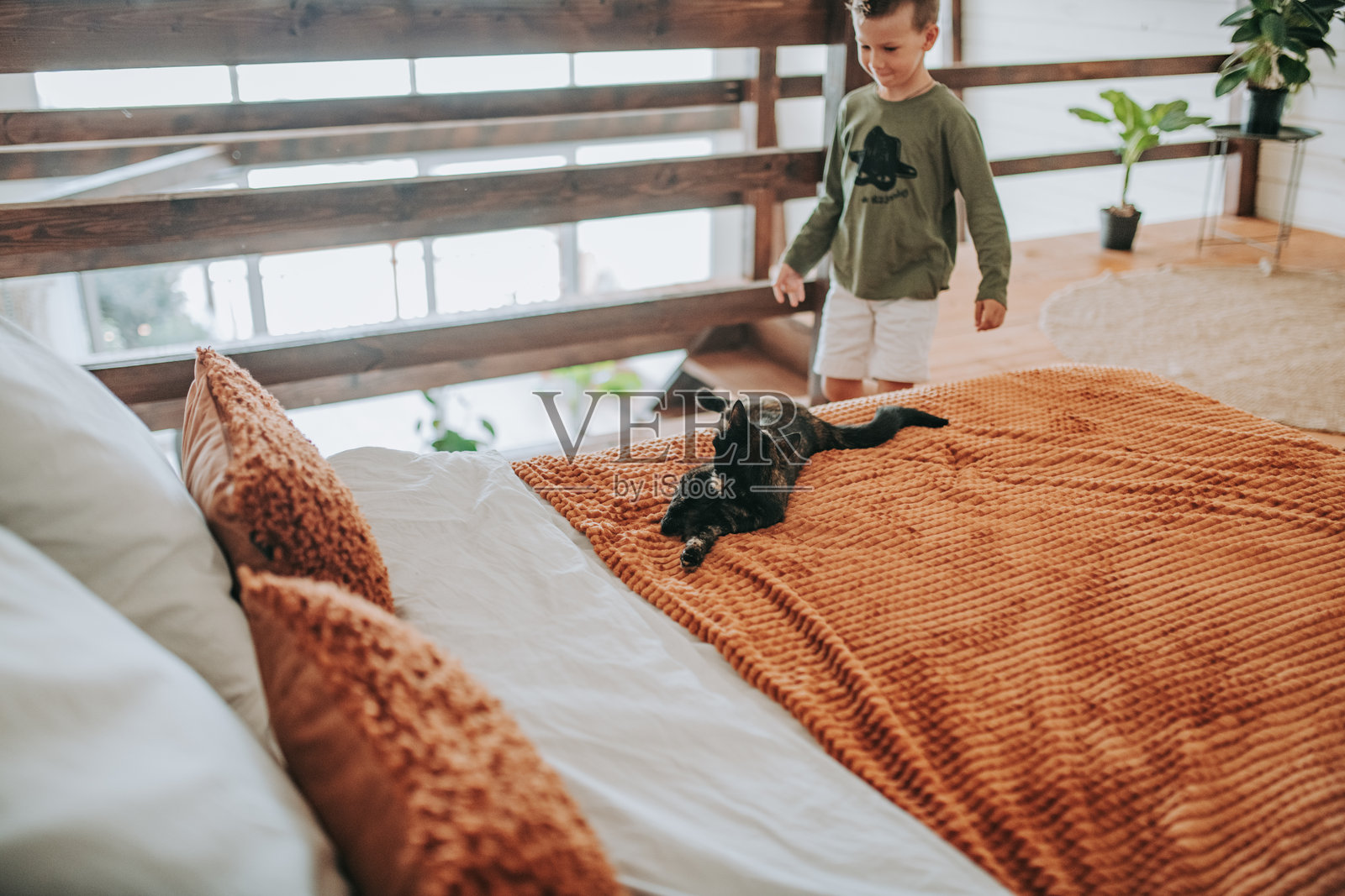 男孩在家里的床上和猫玩耍照片摄影图片