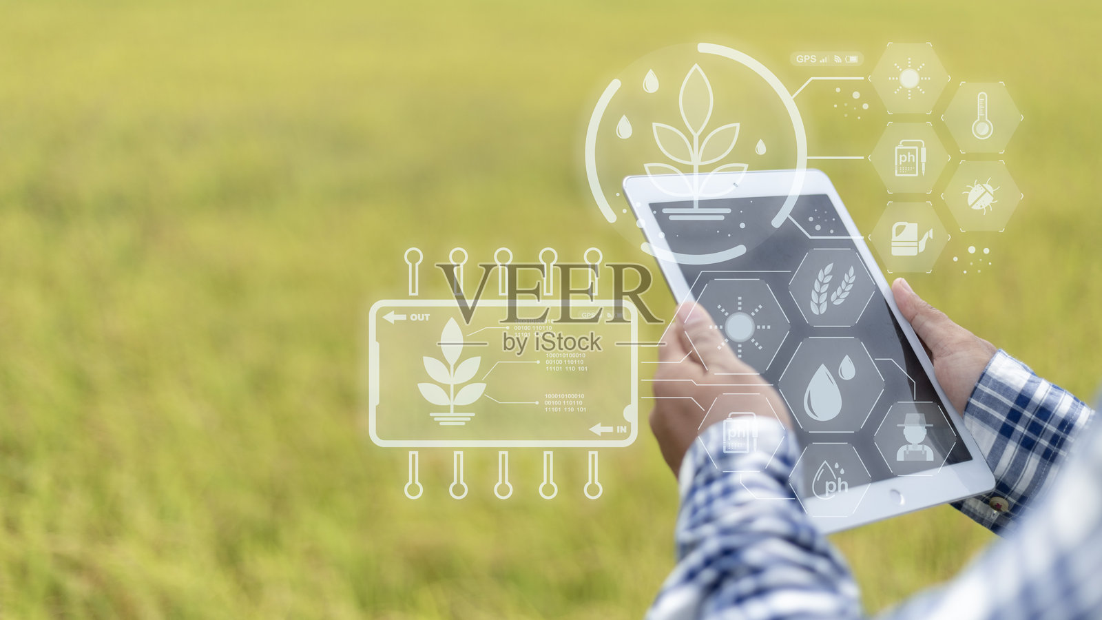 一个人手持一台平板电脑,屏幕上显示着一片植物田。照片摄影图片