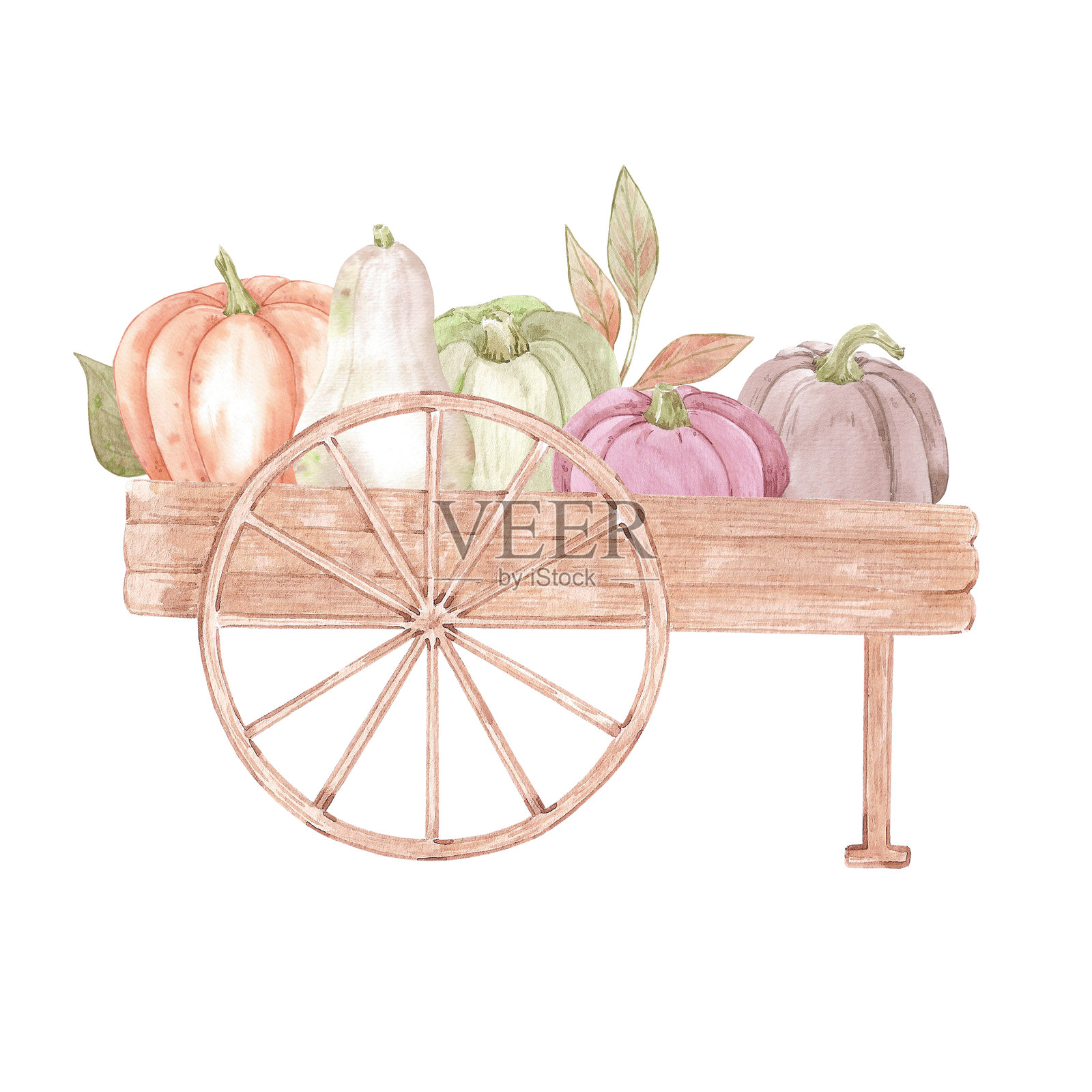手绘水彩成熟南瓜在木车中,背景为白色。乡村插图,可用于明信片、标签、剪贴簿及其他印刷产品。插画图片素材