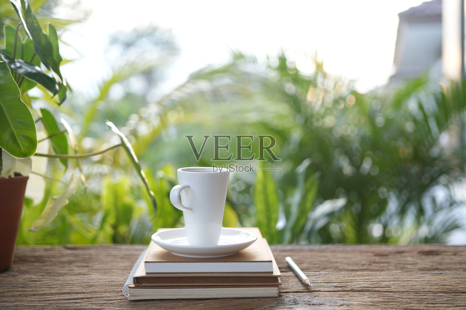 阳光下花园里的木桌上,木托盘上的白色咖啡杯和带植物的笔记本。照片摄影图片