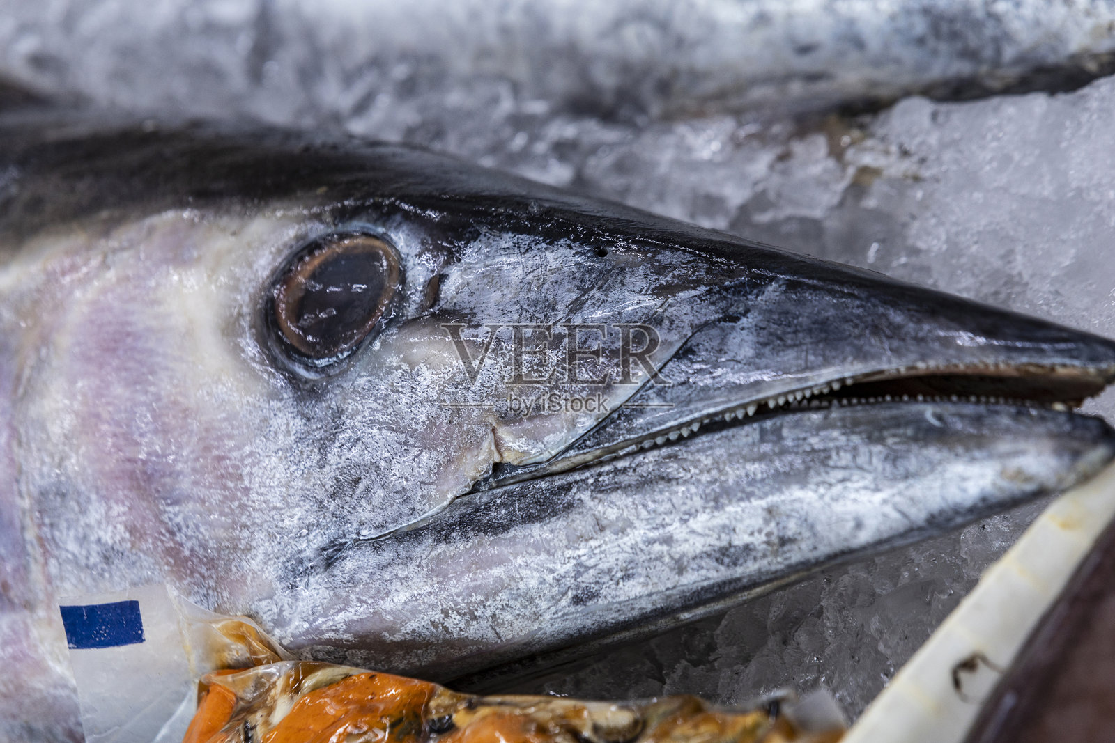 冰上放置的坦尼克鱼,位于巴西桑托斯市的鱼贩货架上。照片摄影图片