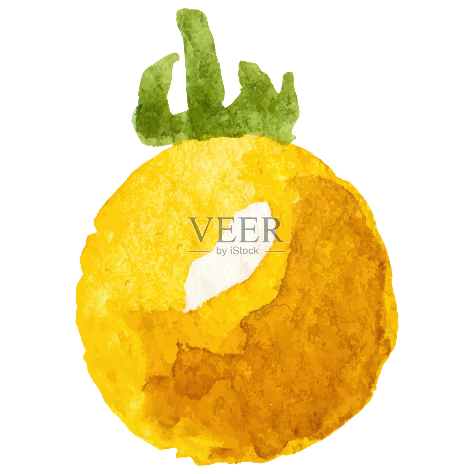 水彩画的樱桃番茄。手绘的新鲜食品设计元素,独立于白色背景。插画图片素材