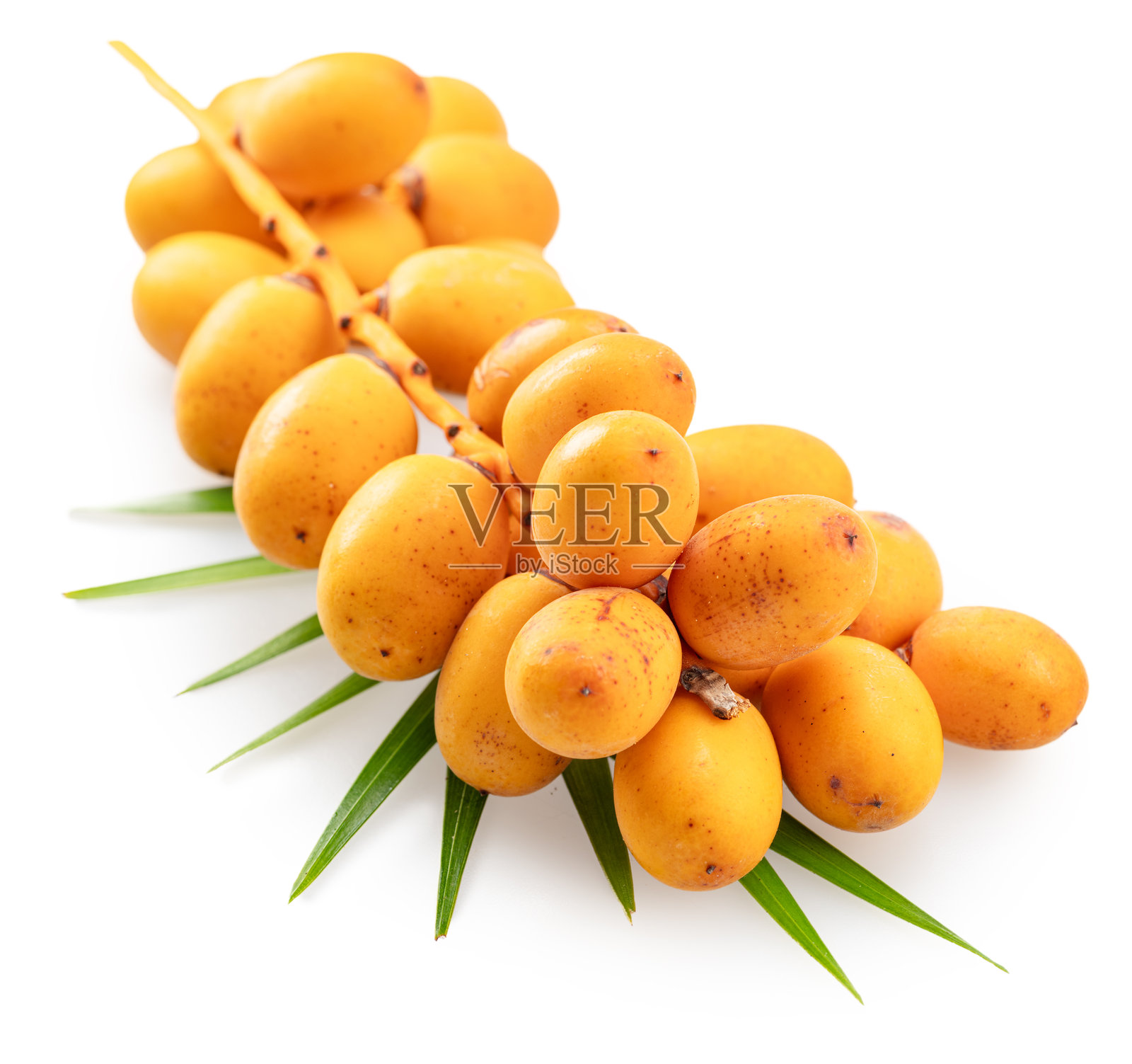 一簇新鲜的黄色枣子,或称为枣椰果,躺在棕榈叶上,背景为白色。文件包含抠图路径。照片摄影图片