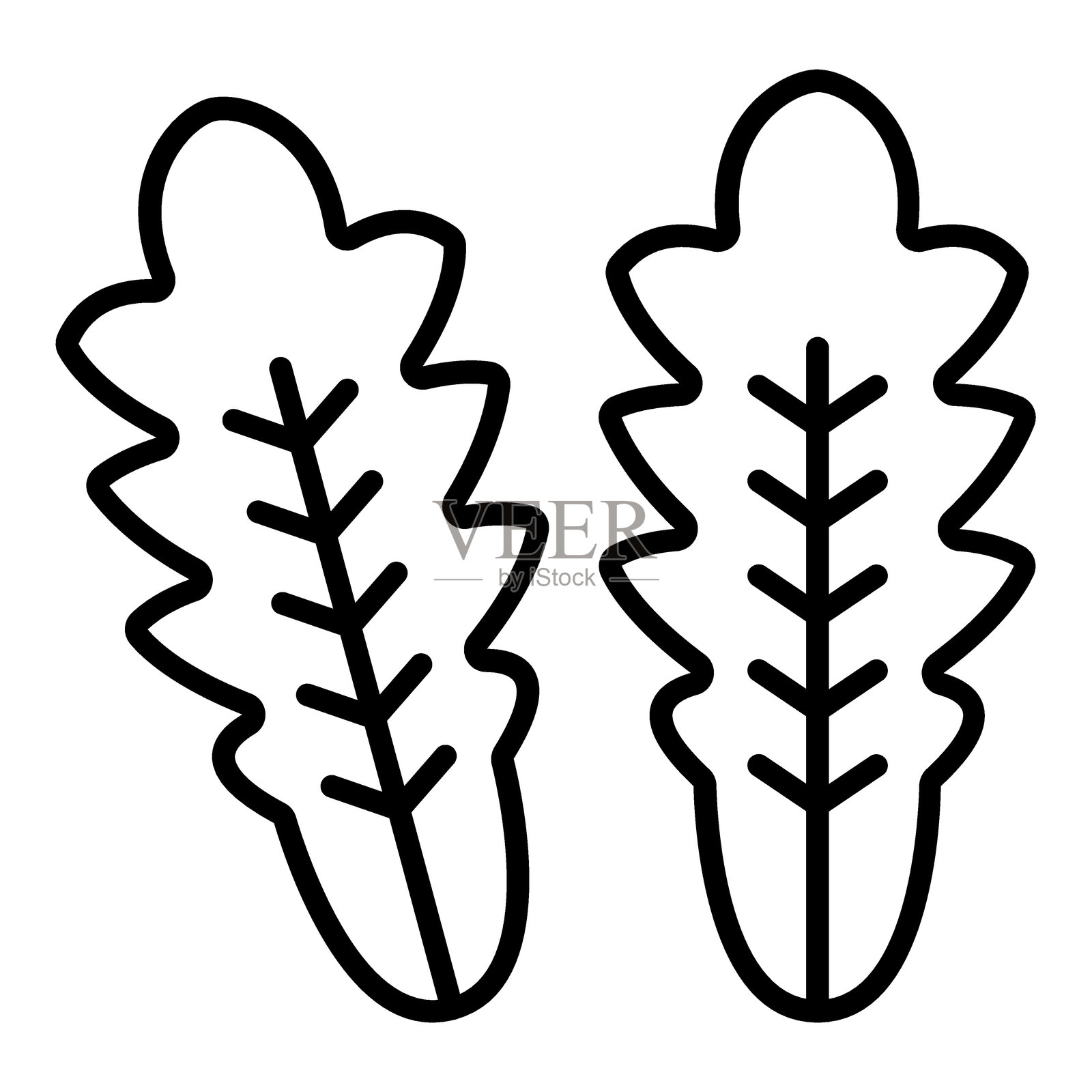 芝麻菜图标风格插画图片素材